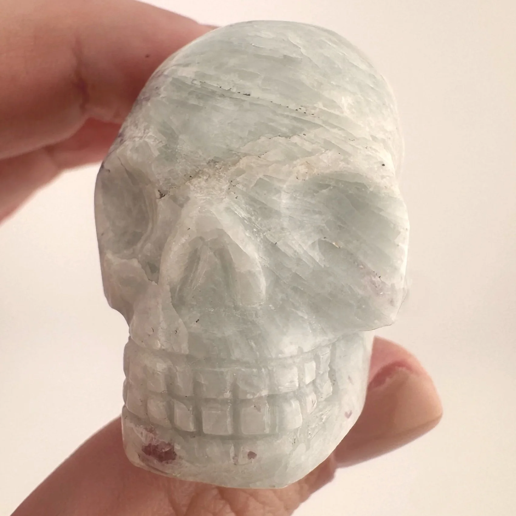 Leandro de Souza Tourmaline in Feldspar Skull
