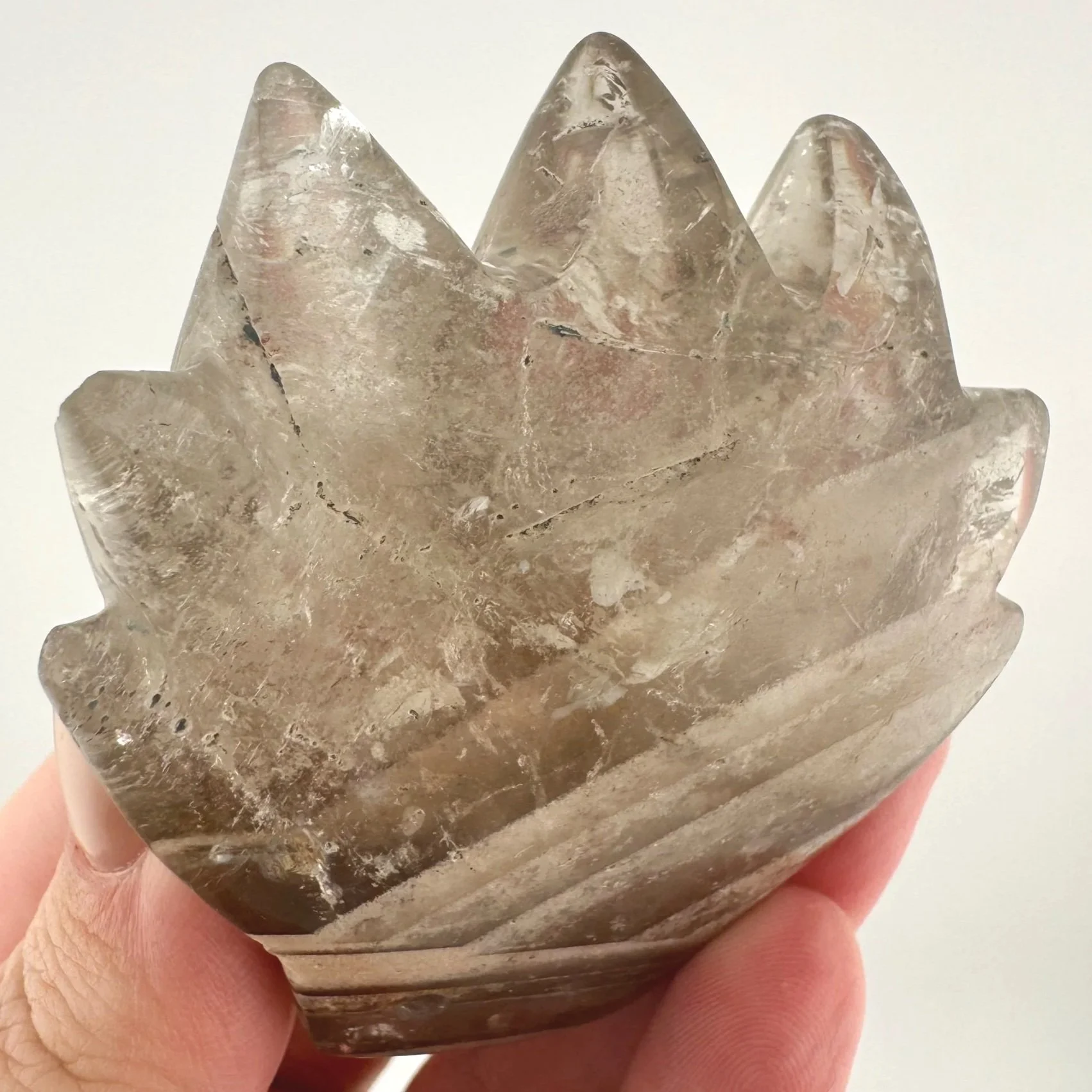 Leandro de Souza Chlorite Phantom Garden Quartz Dragon Skull