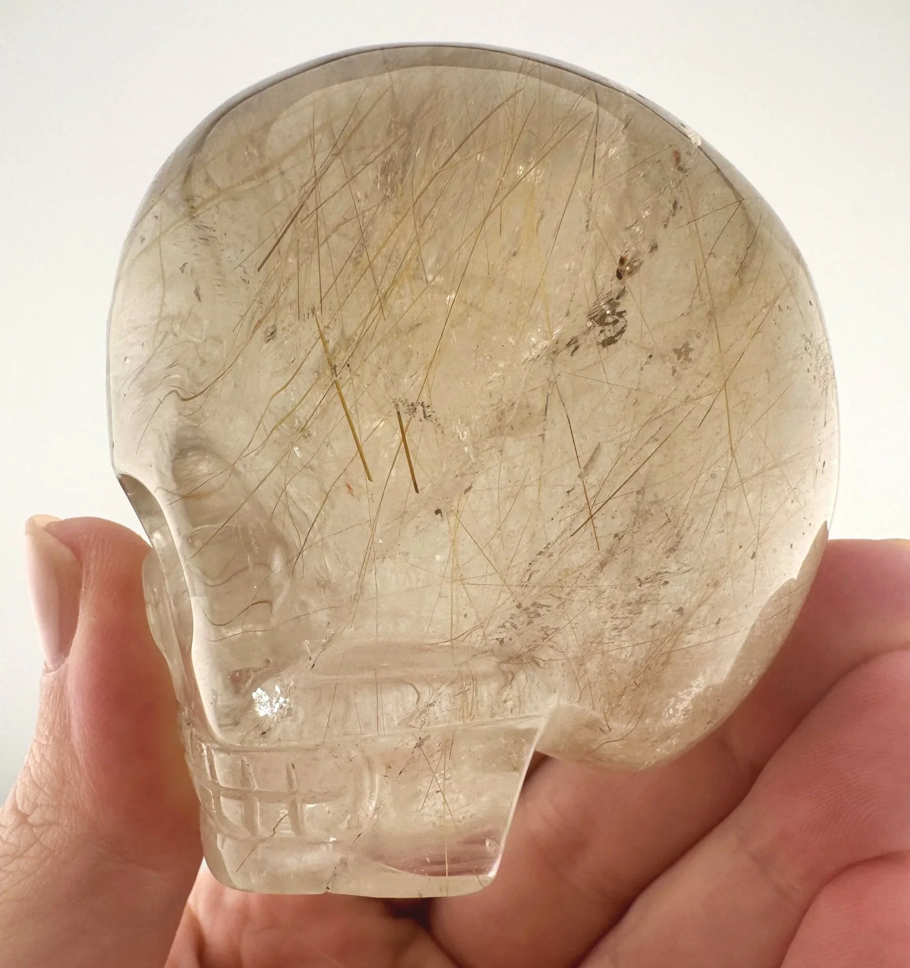 Leandro de Souza Golden Rutile in Smoky Quartz Magical Child Skull