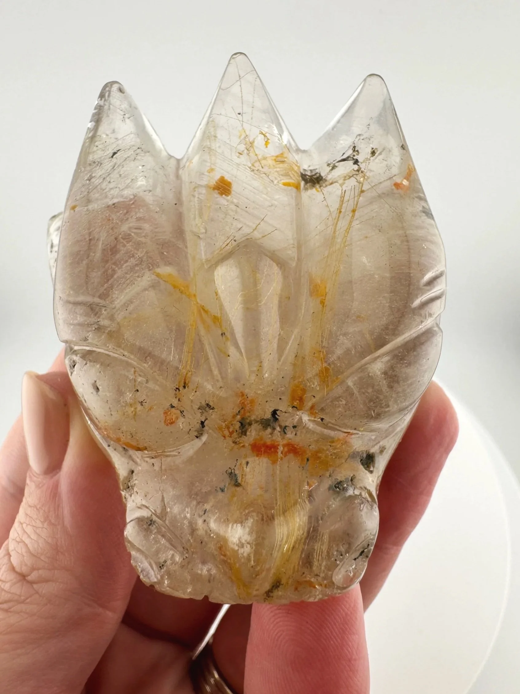 Leandro de Souza Marygold Rutile Dragon Skull