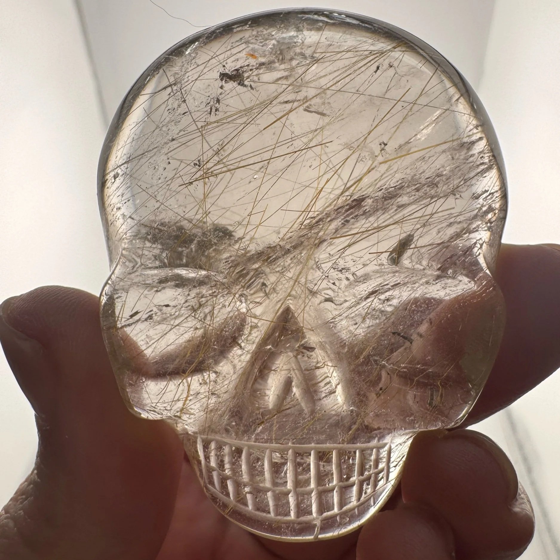 Leandro de Souza Golden Rutile in Quartz Magical Child Palm Skull