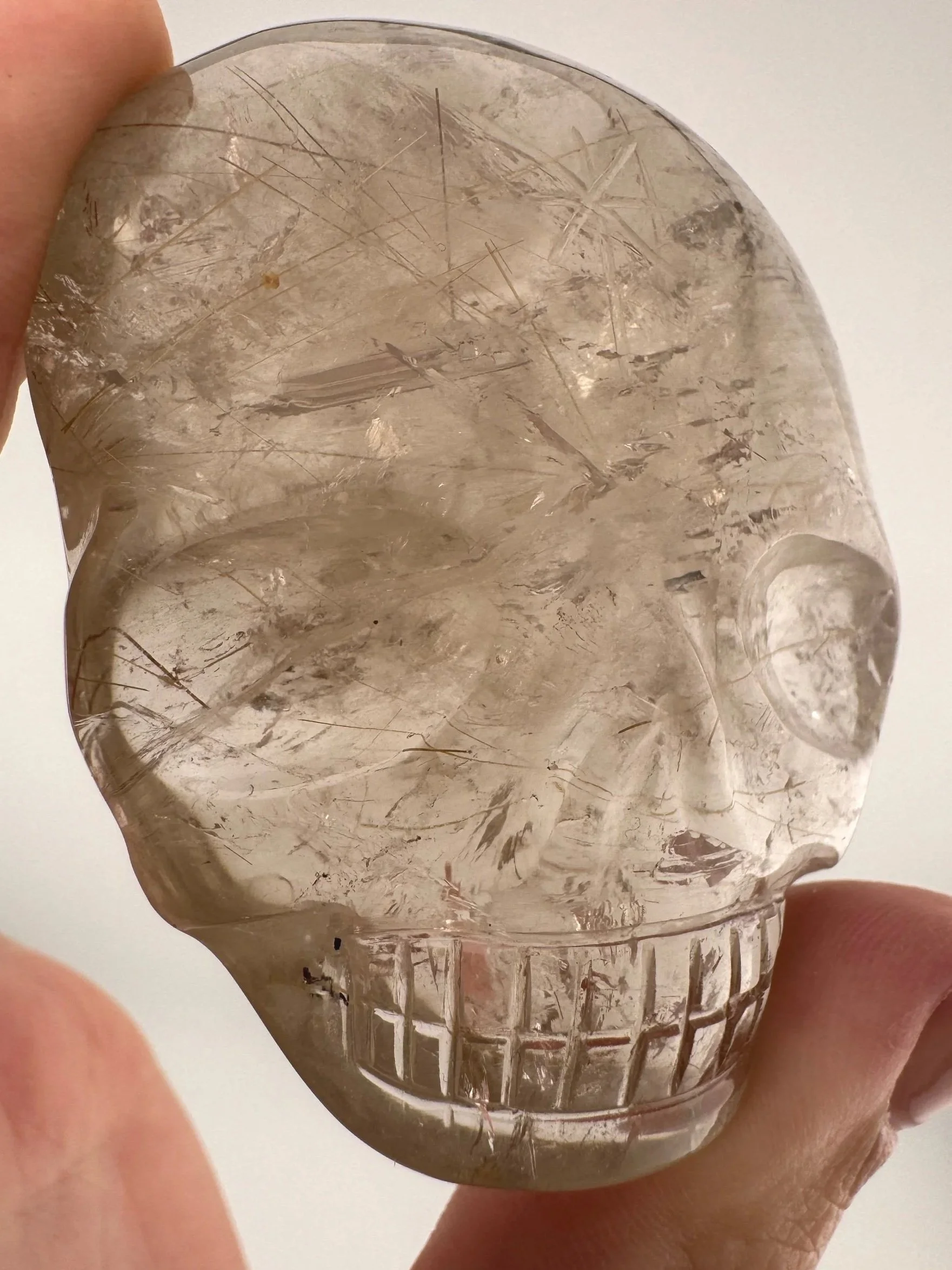 Leandro de Souza Golden Rutile in Quartz Magical Child Palm Skull