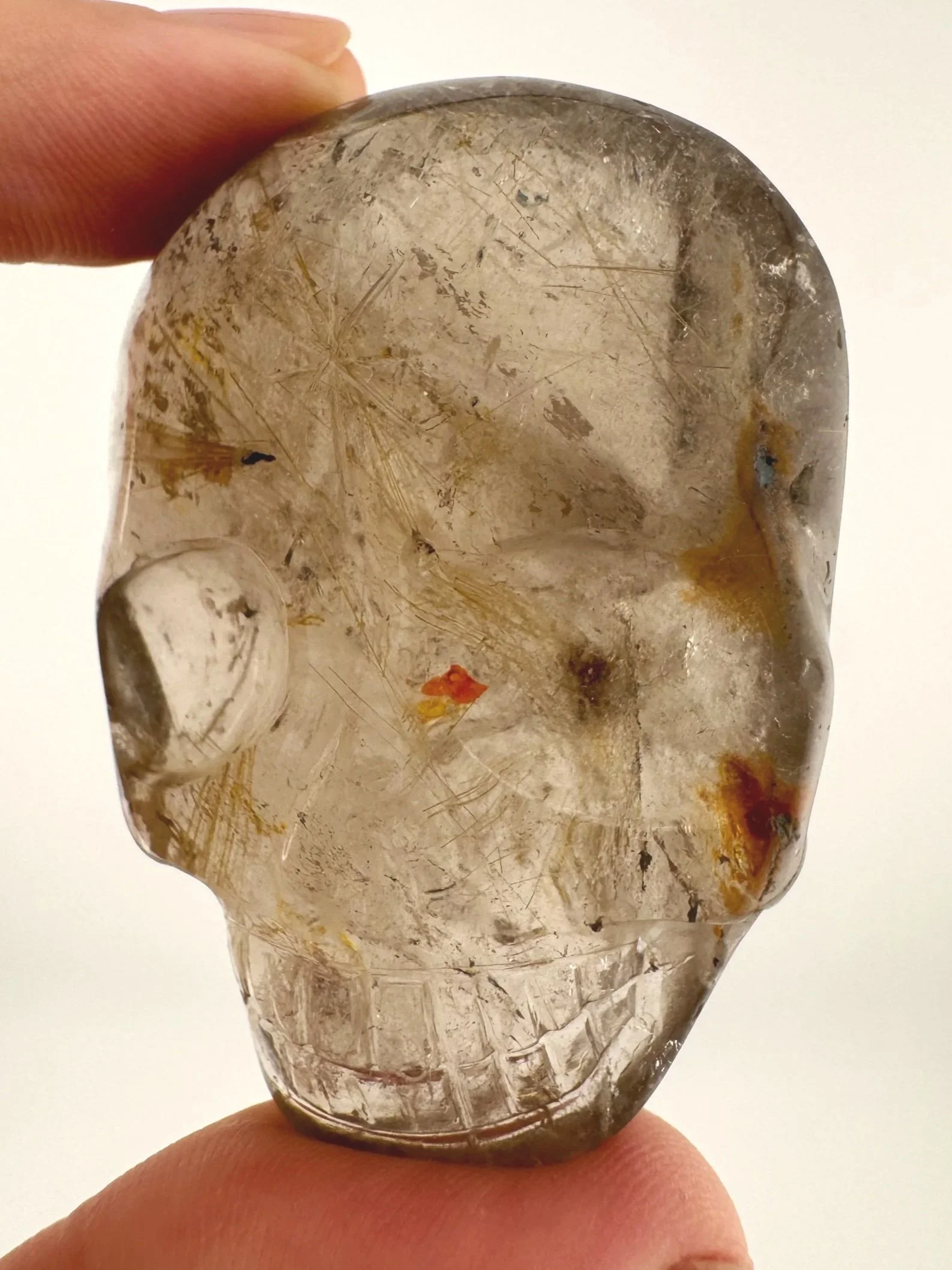 Leandro de Souza Marygold Rutile Palm Skull