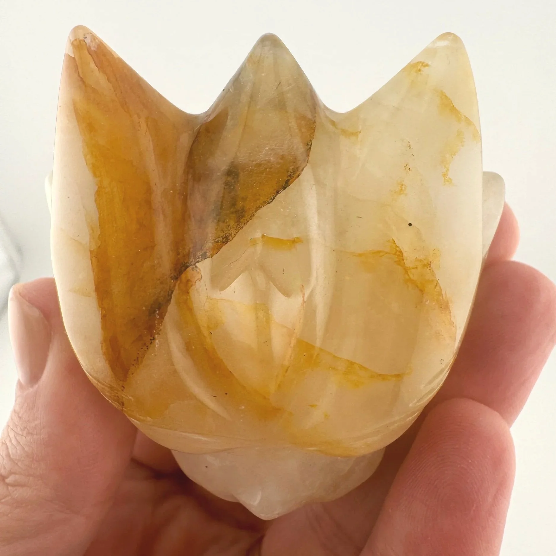 Leandro de Souza Golden Healer Dragon Skull