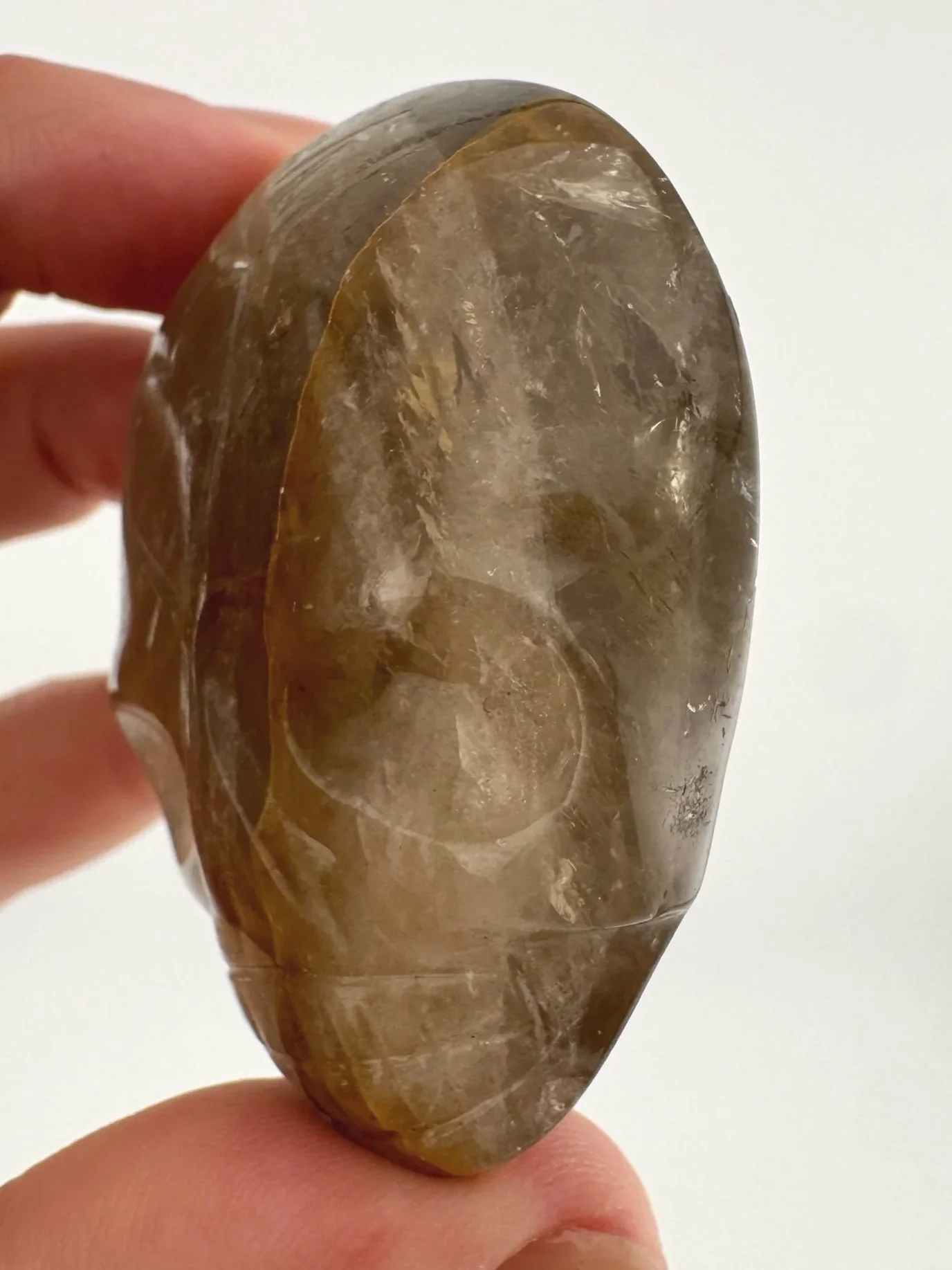 Leandro de Souza Smoky Golden Healer Palm Skull