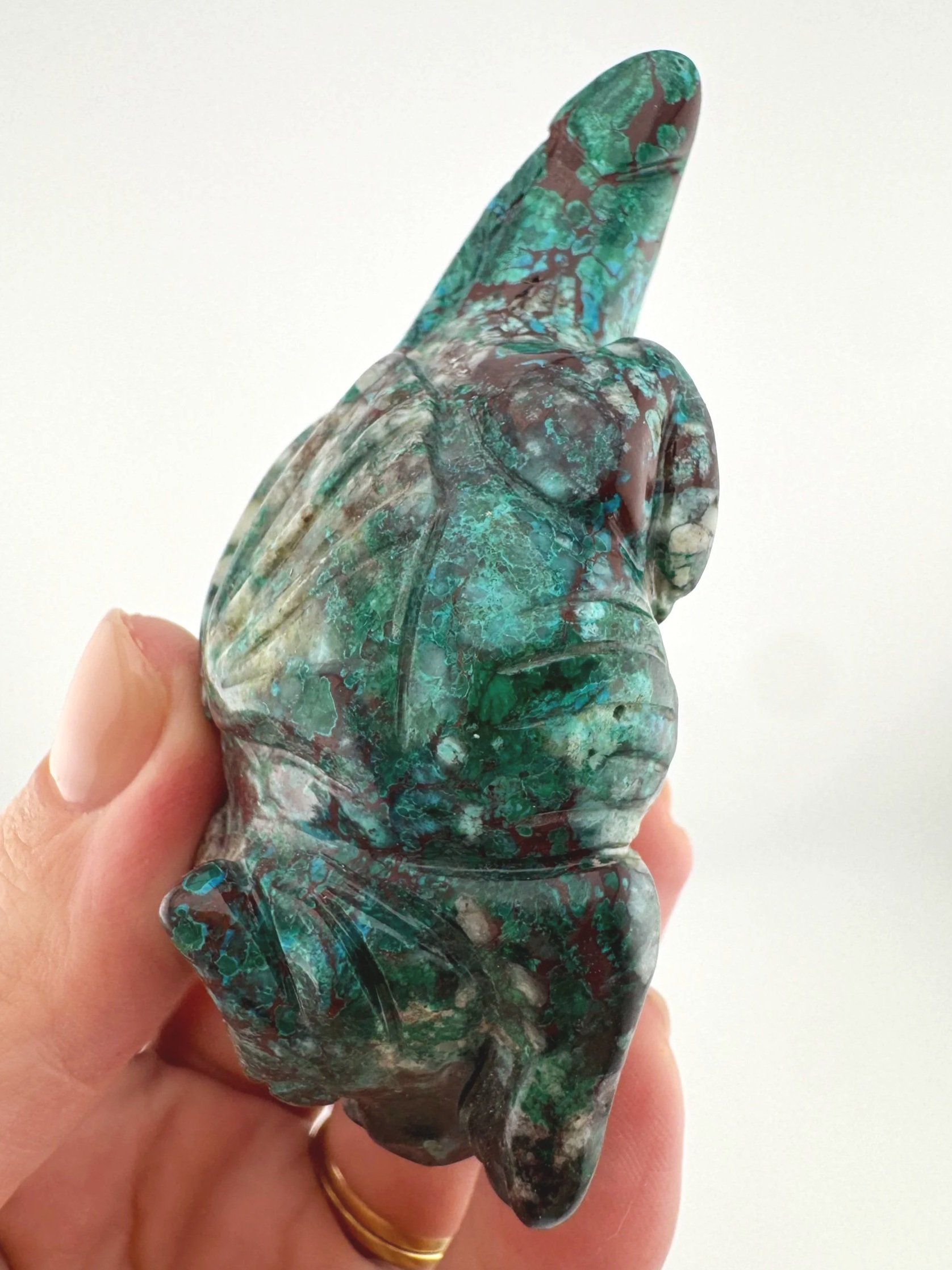 Leandro de Souza Malachite Chrysocolla Dodo Dragon