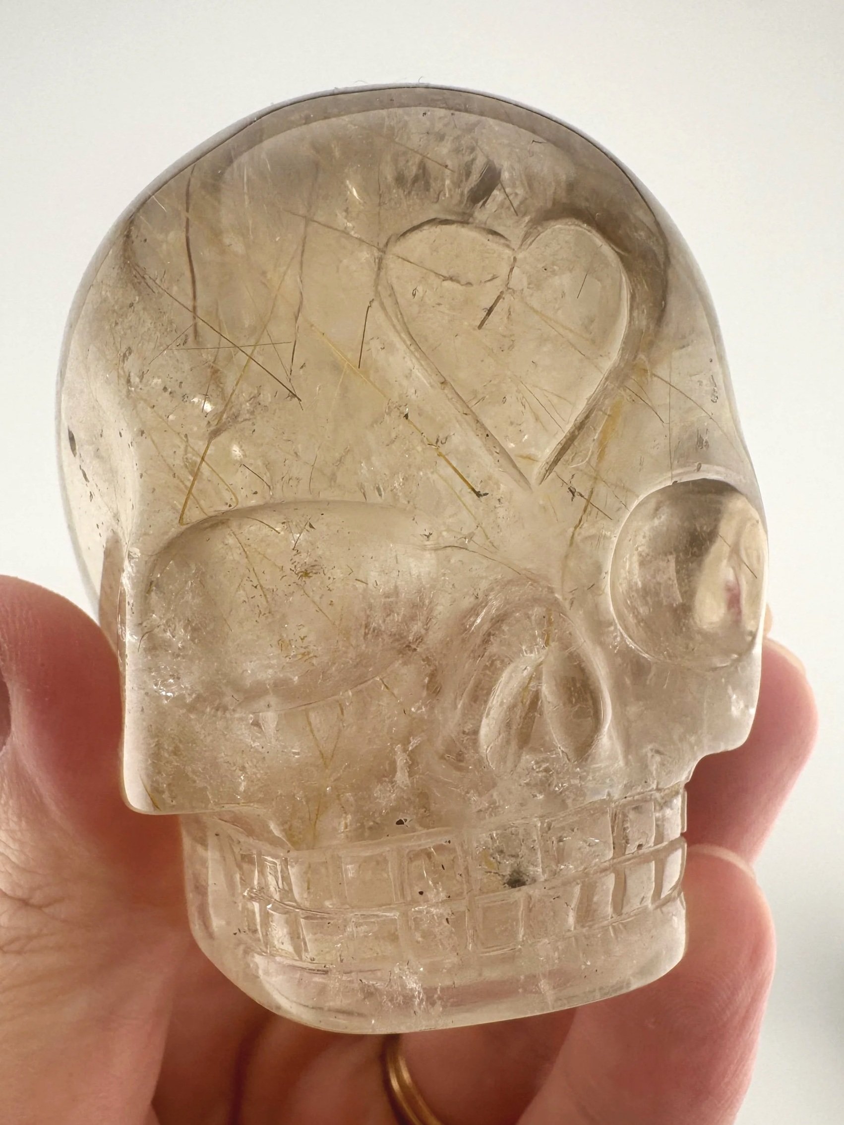 Leandro de Souza Golden Rutile in Smoky Quartz Magical Child Skull