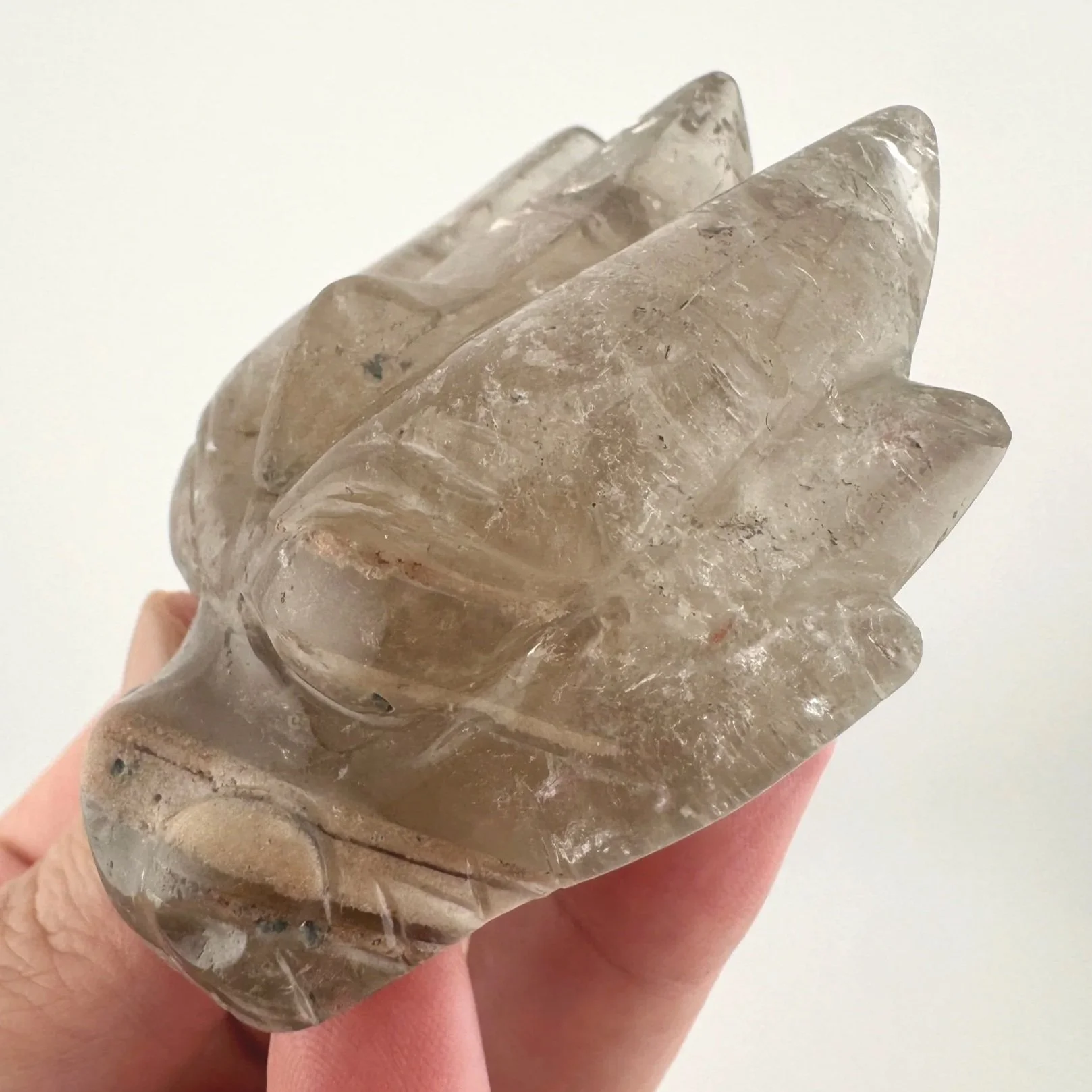 Leandro de Souza Chlorite Phantom Garden Quartz Dragon Skull