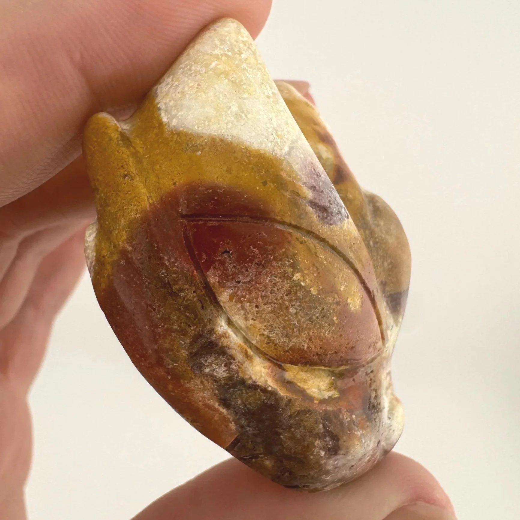 Leandro de Souza Brazilian Jasper Dragon Skull