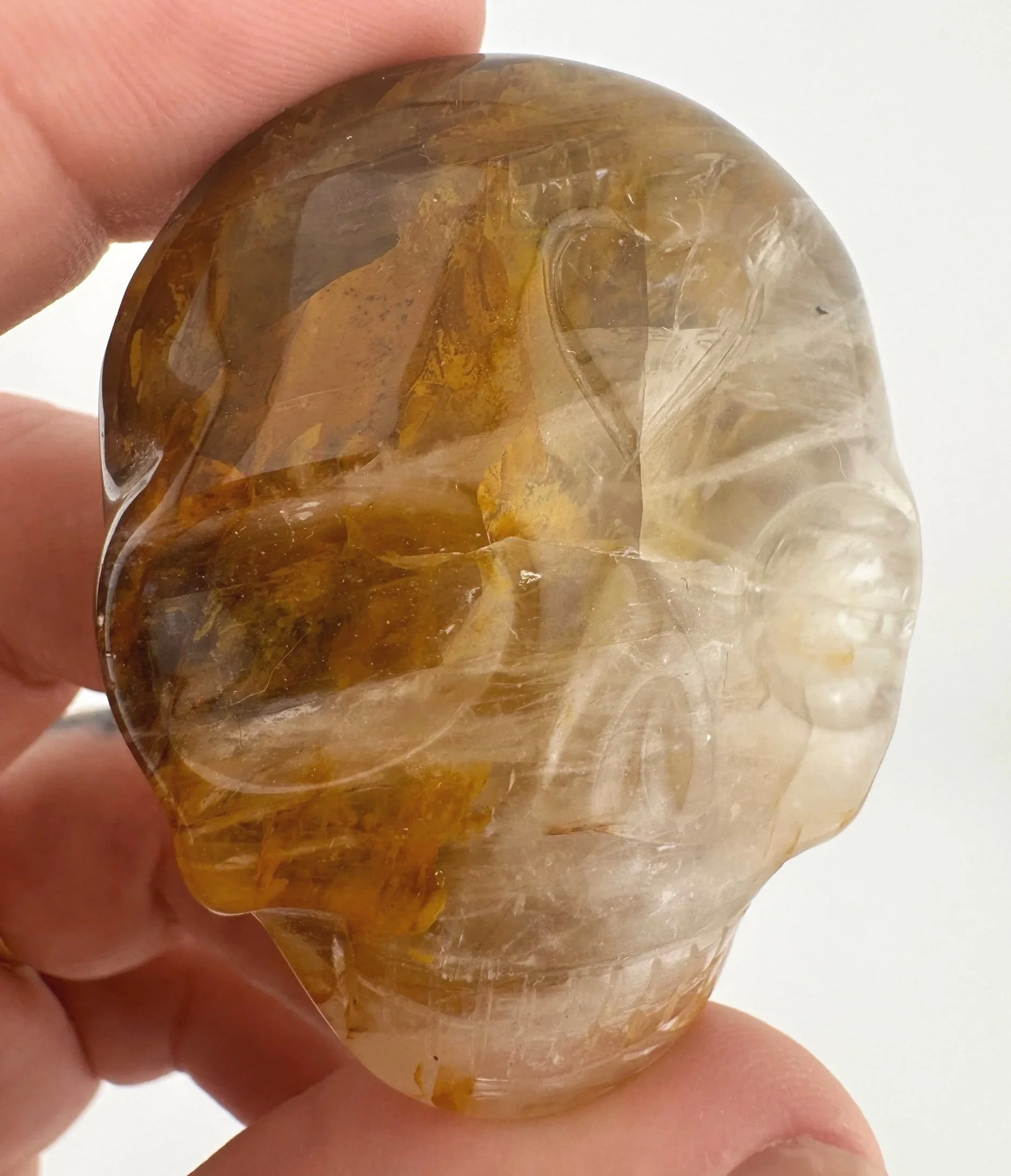 Leandro de Souza Golden Healer Palm Skull