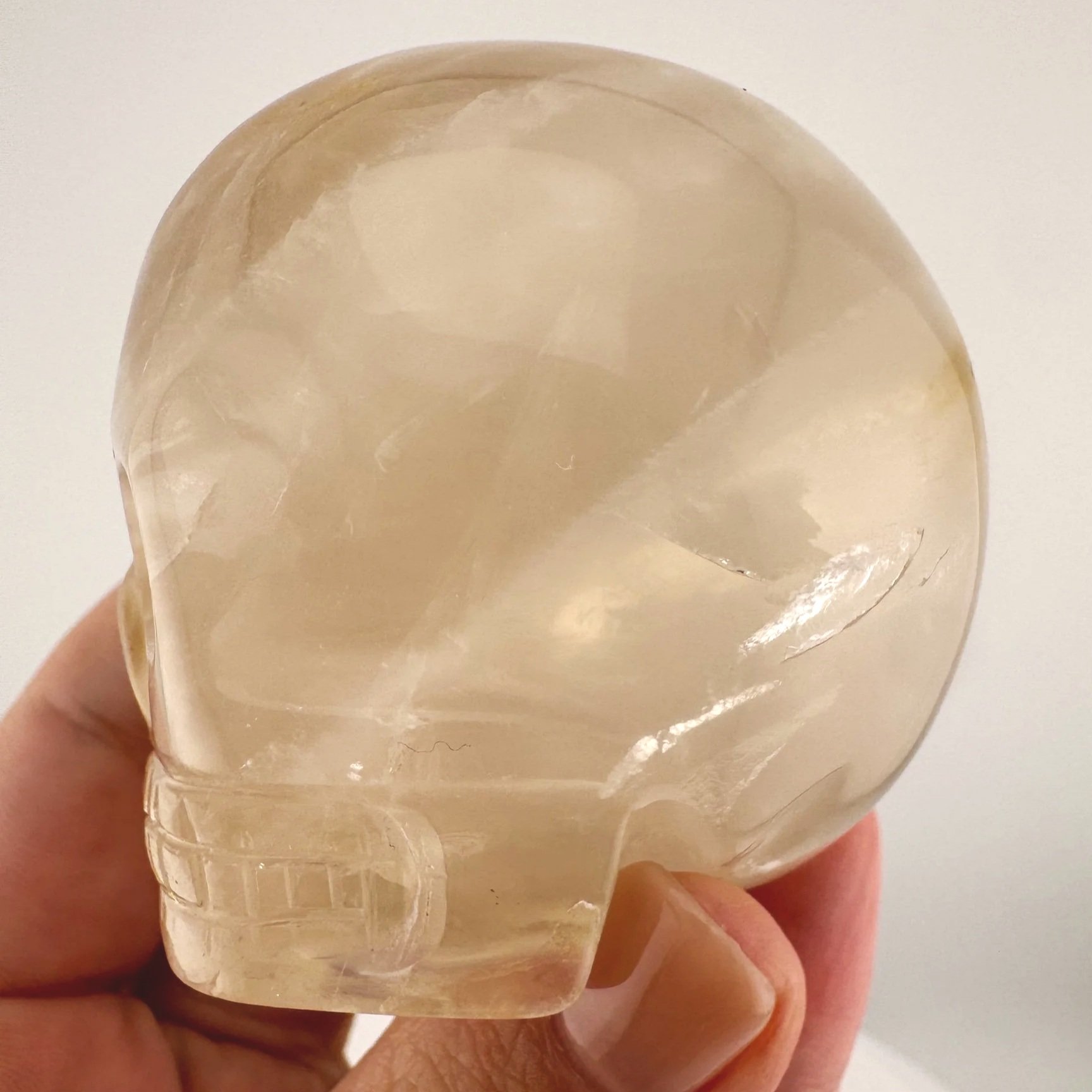Leandro de Souza Golden Healer Magical Child Skull