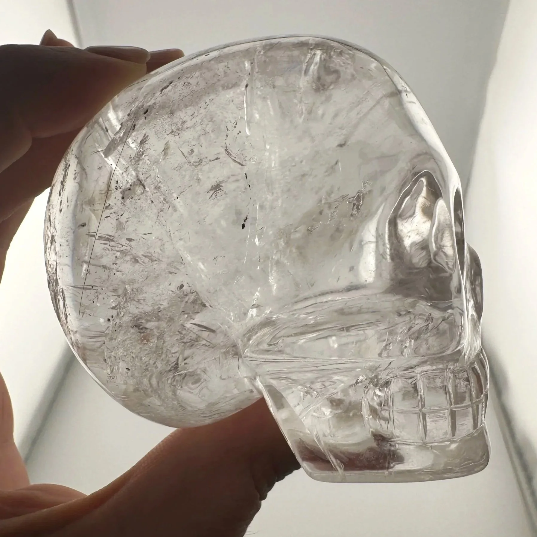 Leandro de Souza Rutile in Quartz Skull