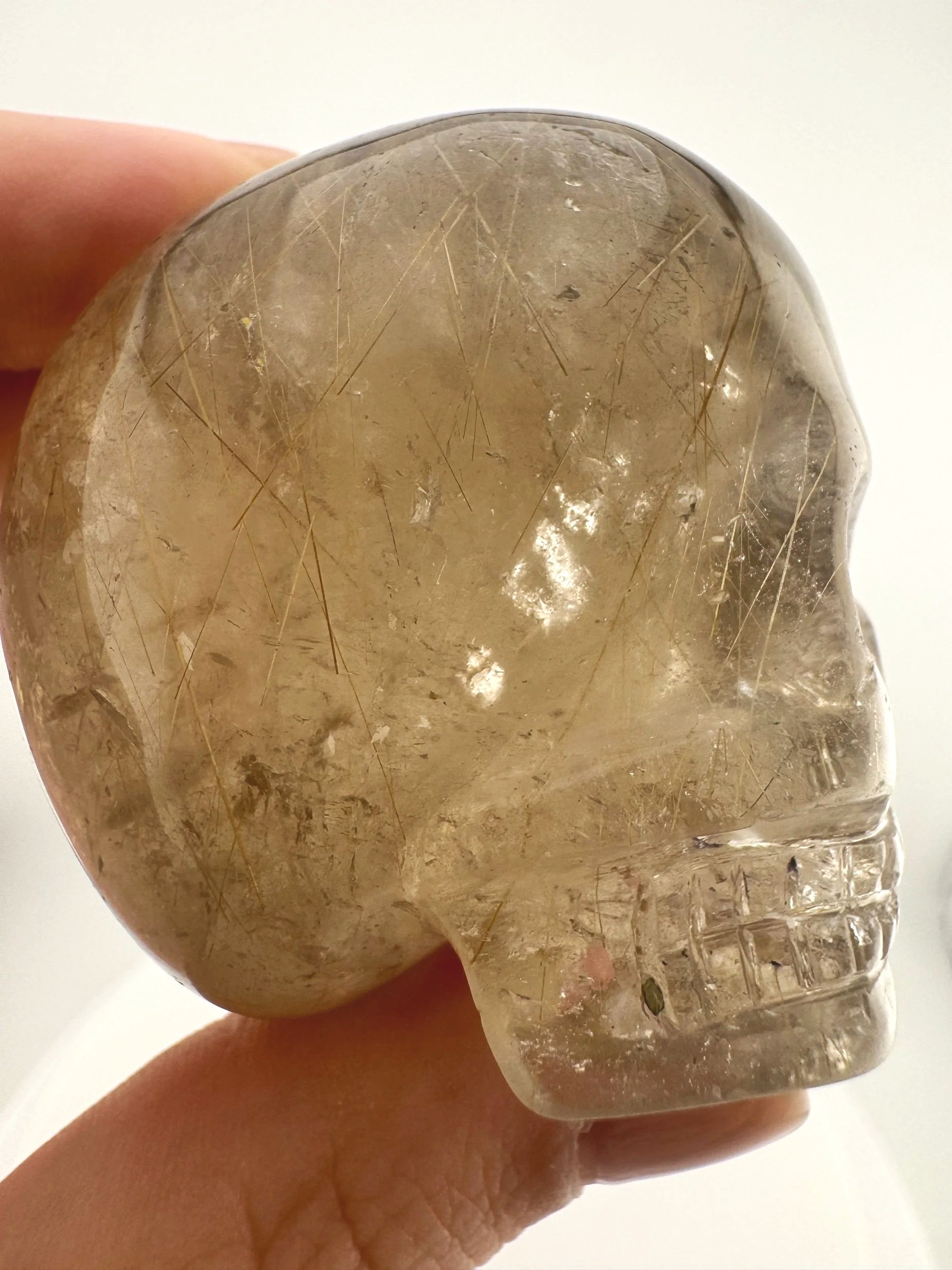 Leandro de Souza Golden Rutile in Smoky Quartz Magical Child Palm Skull