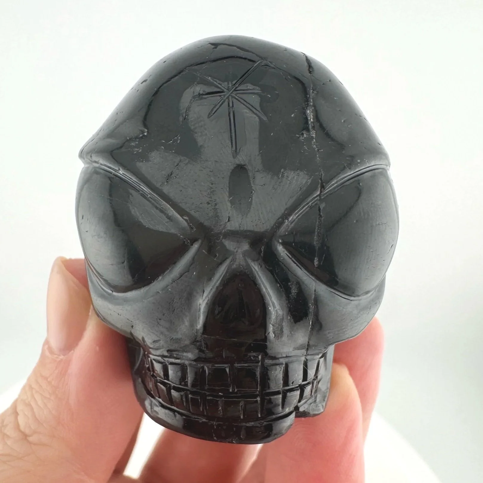 Leandro de Souza Black Tourmaline Star Being Twin Flame Skull