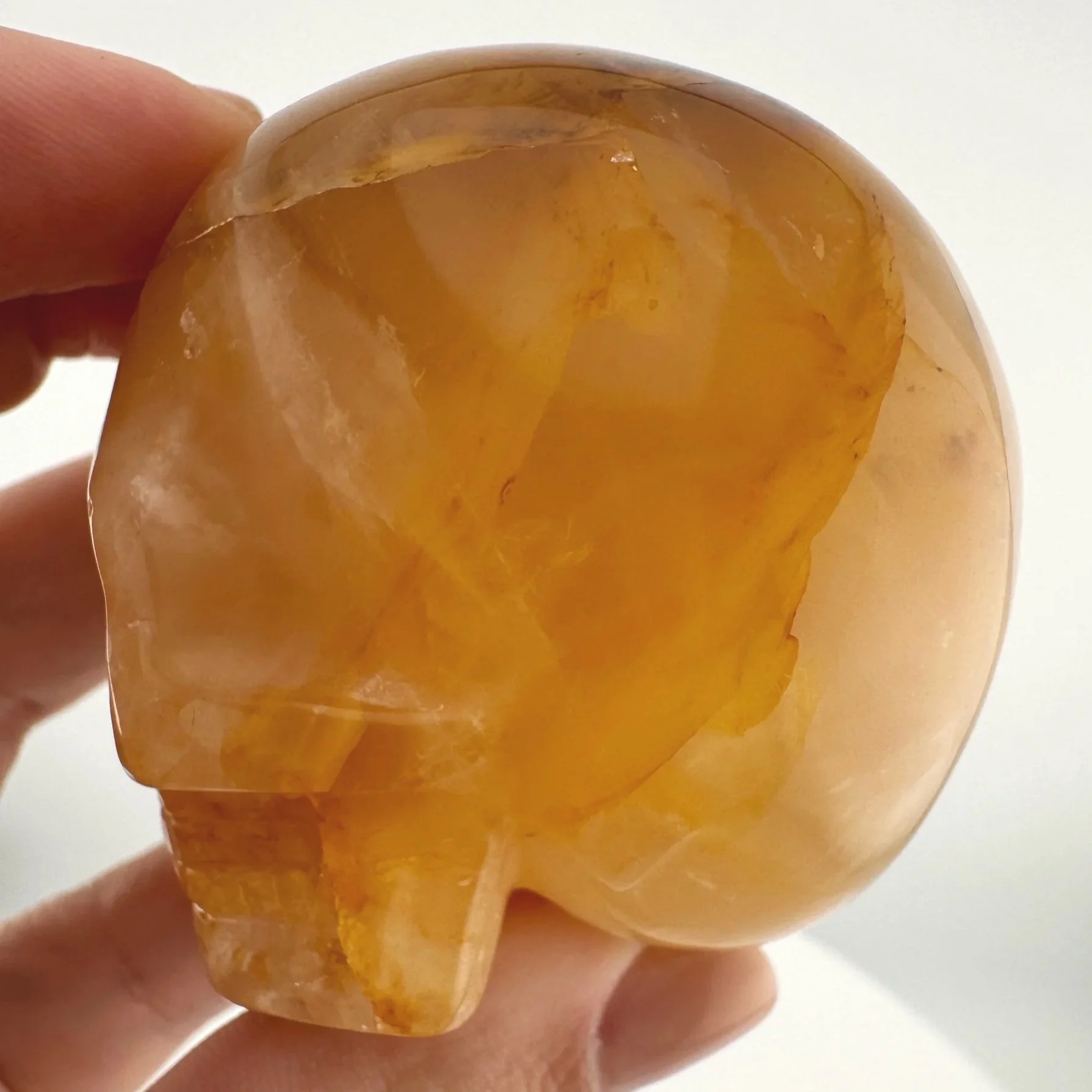 Leandro de Souza Golden Healer Magical Child Skull
