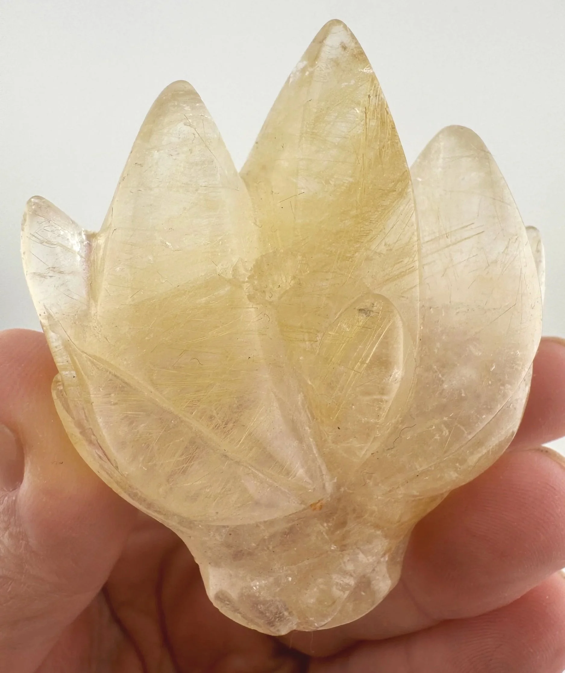 Leandro de Souza Golden Rutile Dragon Skull