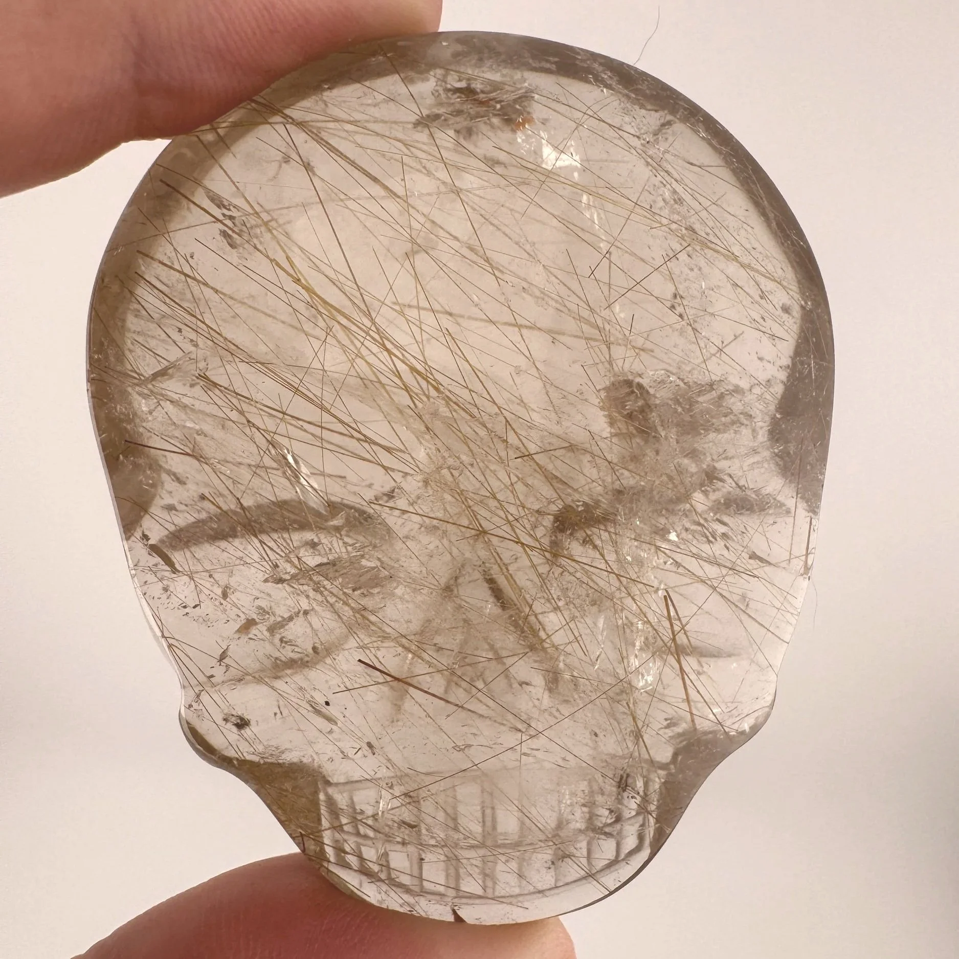 Leandro de Souza Golden Rutile in Quartz Magical Child Palm Skull