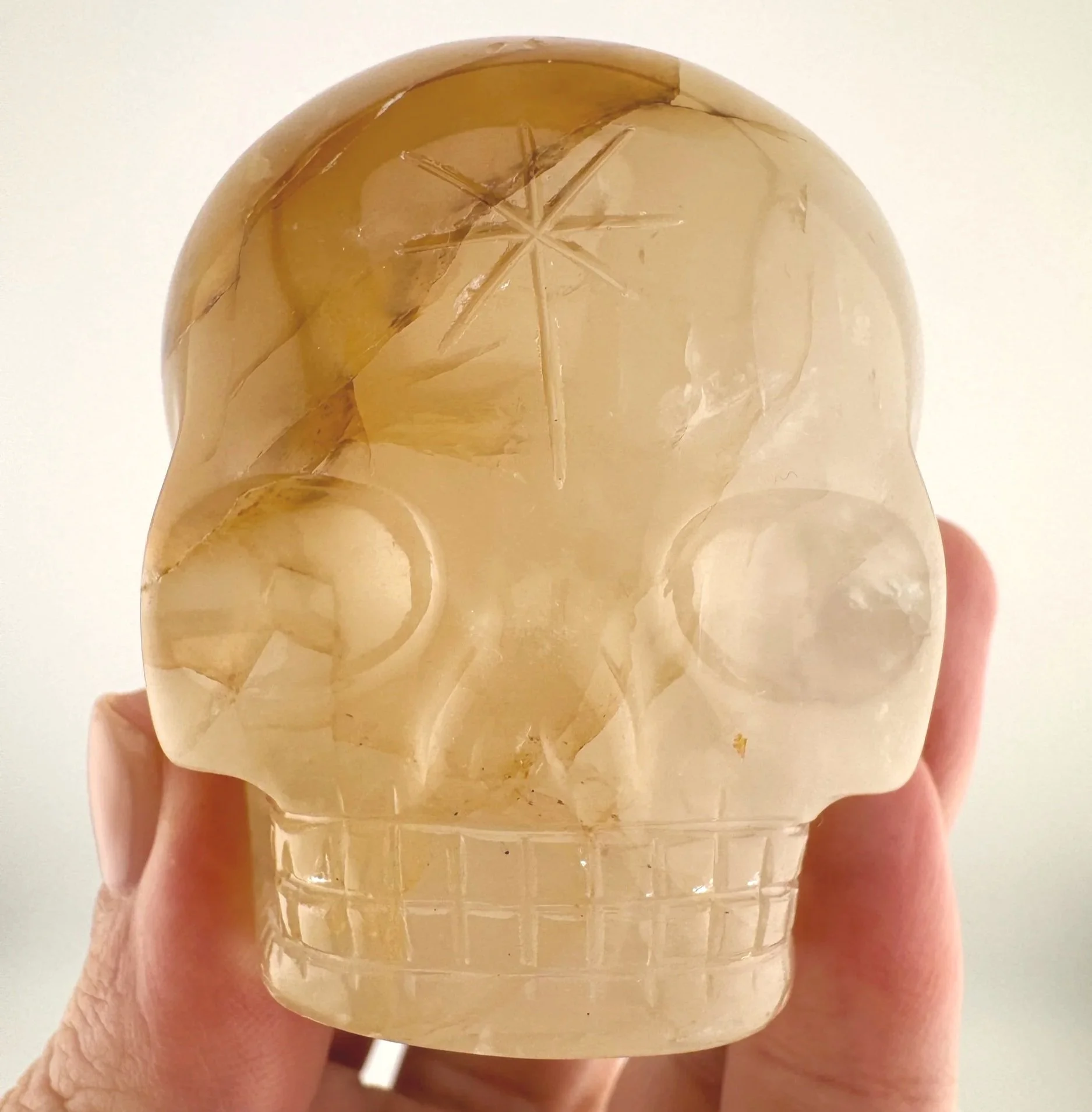 Leandro de Souza Golden Healer Magical Child Skull