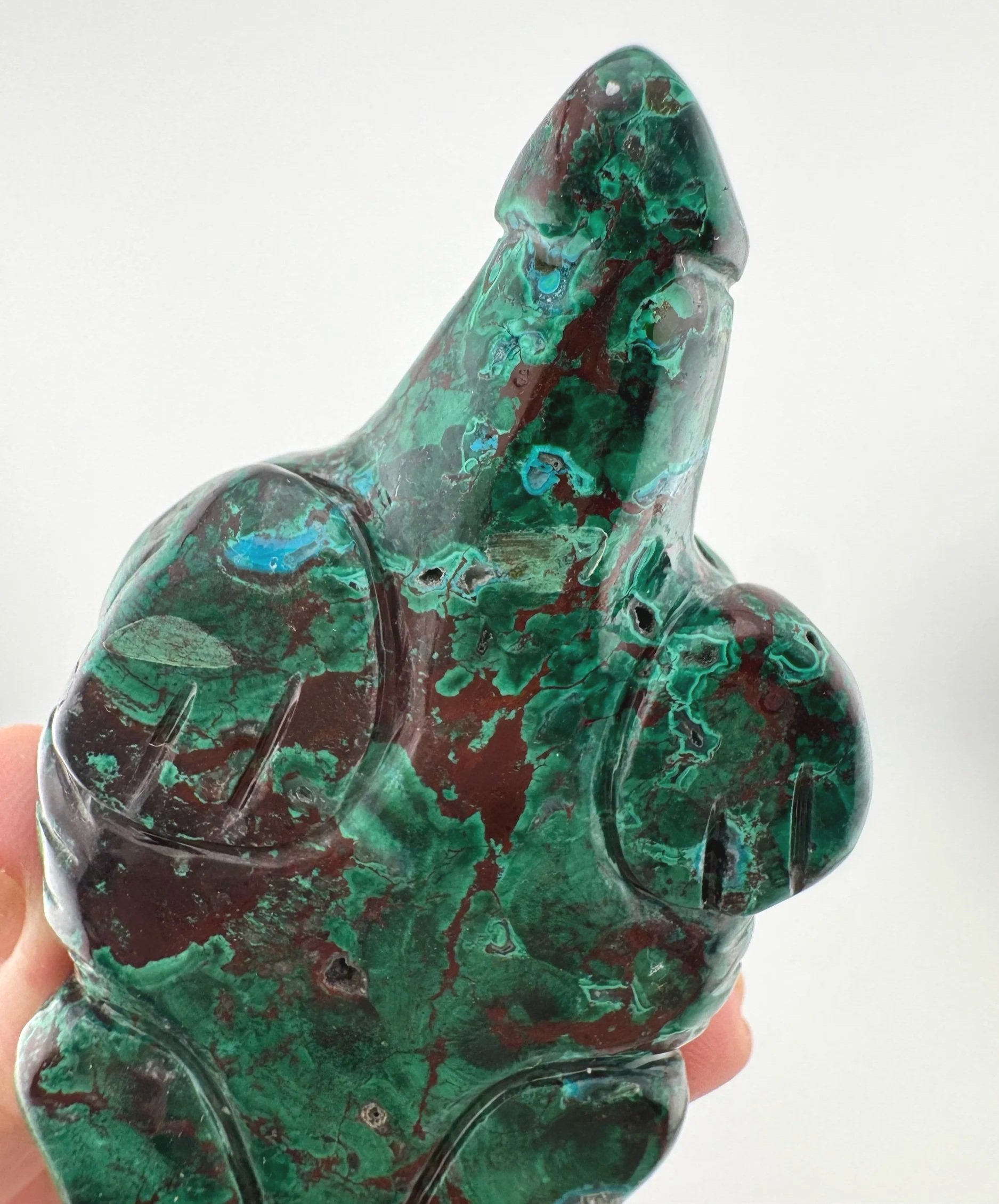 Leandro de Souza Malachite Chrysocolla Dodo Dragon