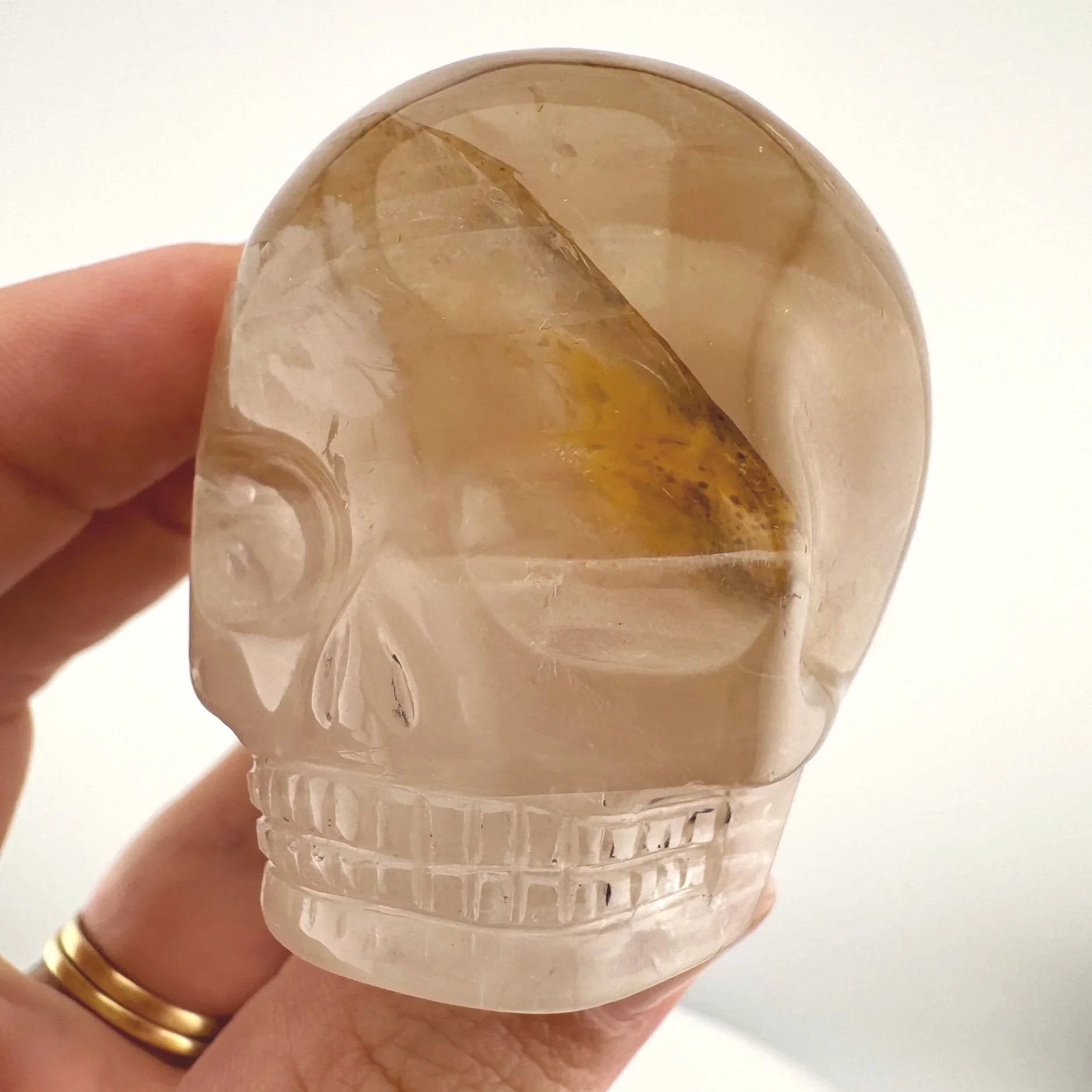 Leandro de Souza Golden Healer Magical Child Skull