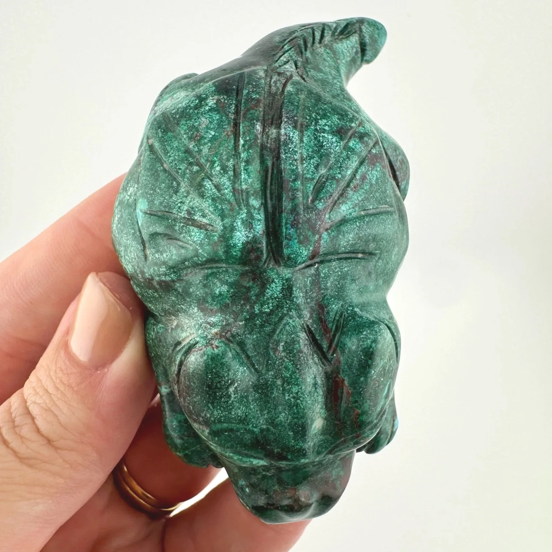 Leandro de Souza Malachite Chrysocolla Dodo Dragon