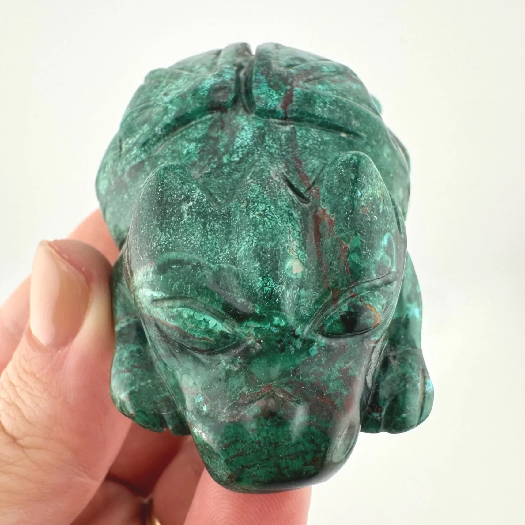 Leandro de Souza Malachite Chrysocolla Dodo Dragon