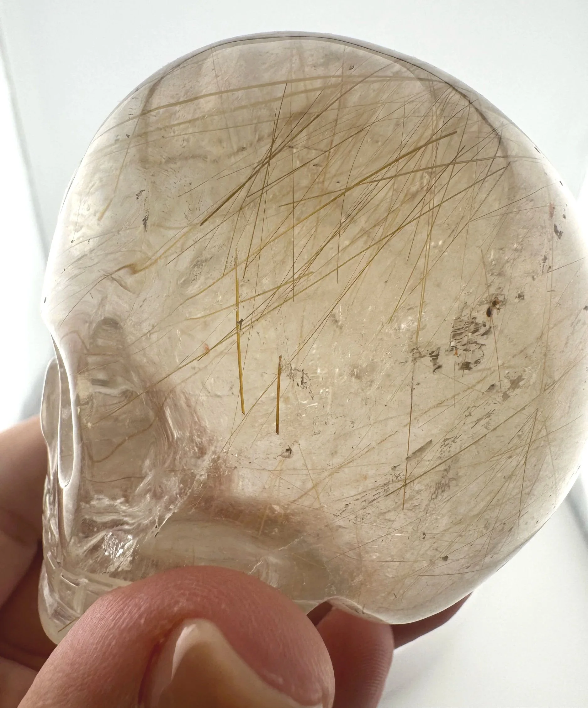 Leandro de Souza Golden Rutile in Smoky Quartz Magical Child Skull