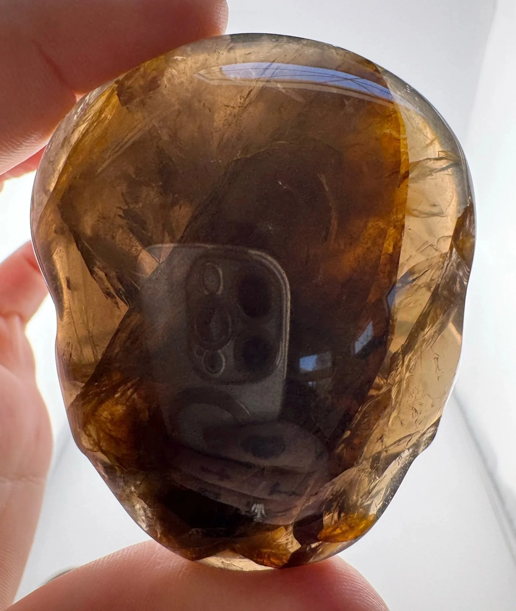 Leandro de Souza Smoky Golden Healer Palm Skull