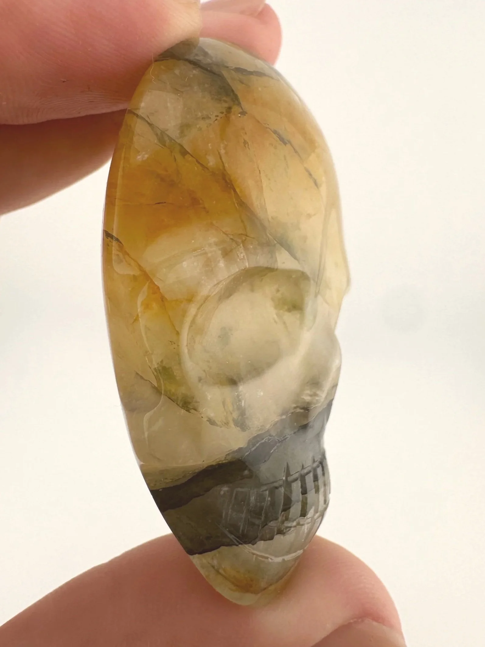 Leandro de Souza Golden Healer Palm Skull