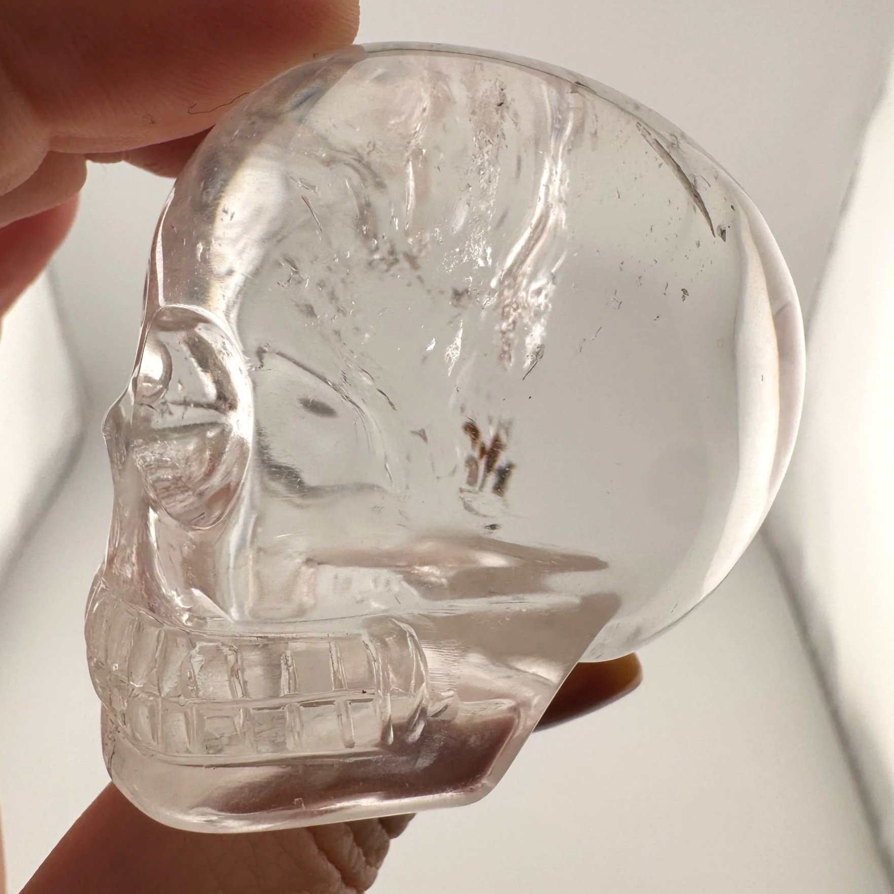 Leandro de Souza Gem Sirius Quartz Bizoin Skull