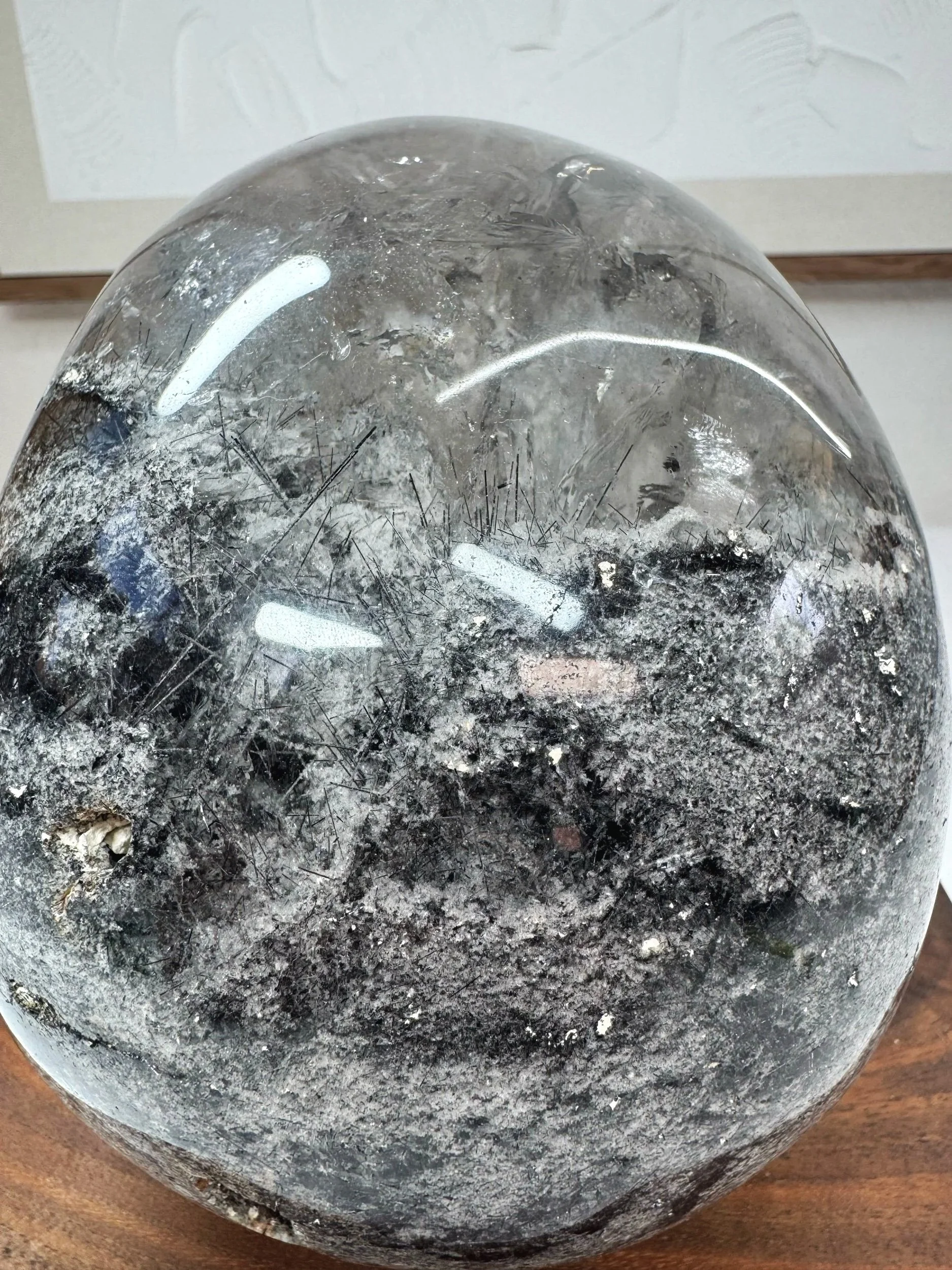 Leandro de Souza Black Tourmaline and Lodolite in Quartz Master Skull