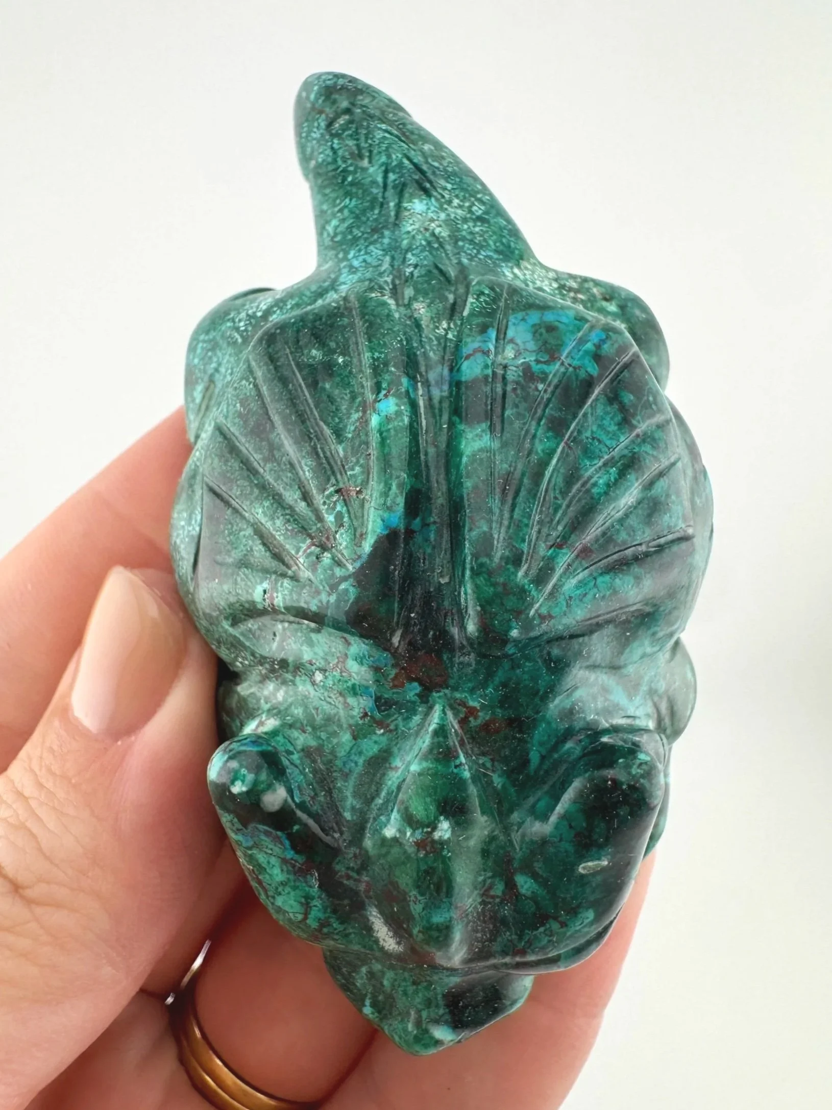 Leandro de Souza Malachite Chrysocolla Dodo Dragon