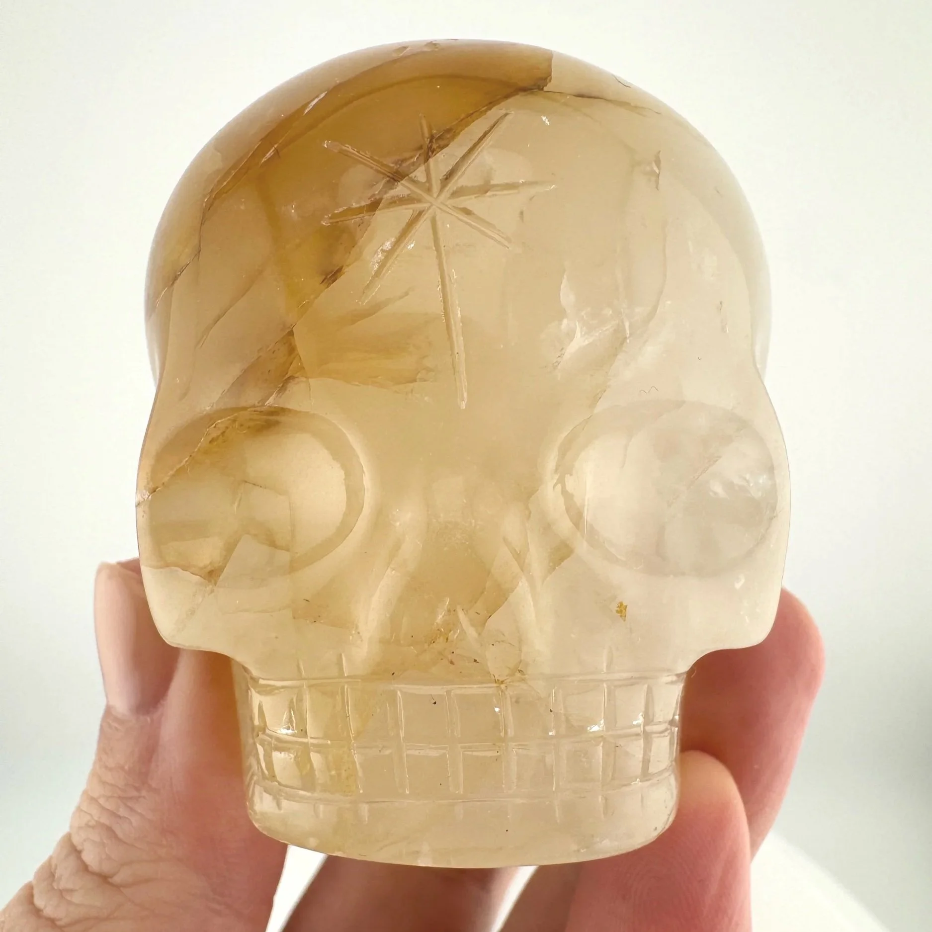 Leandro de Souza Golden Healer Magical Child Skull
