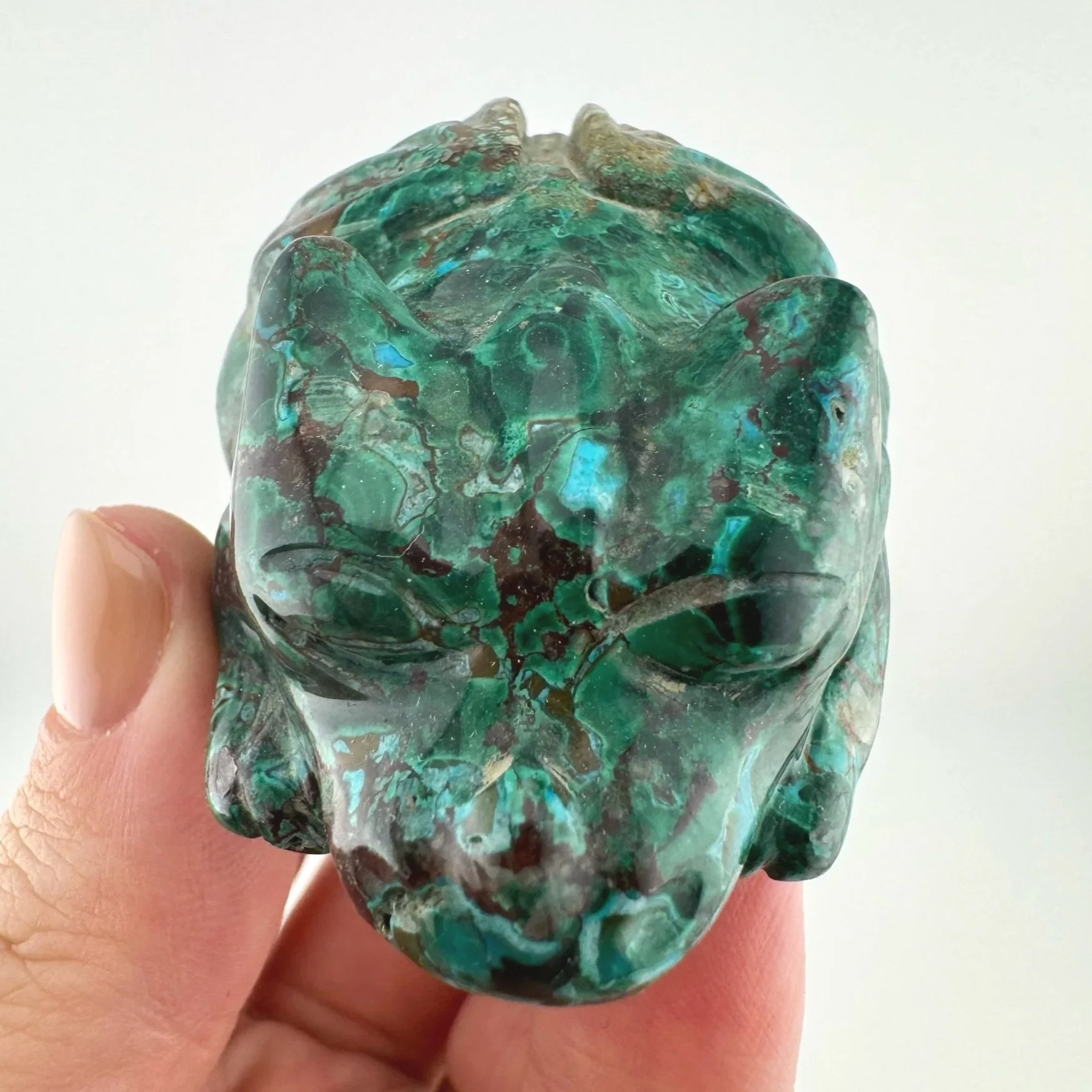Leandro de Souza Malachite Chrysocolla Dodo Dragon