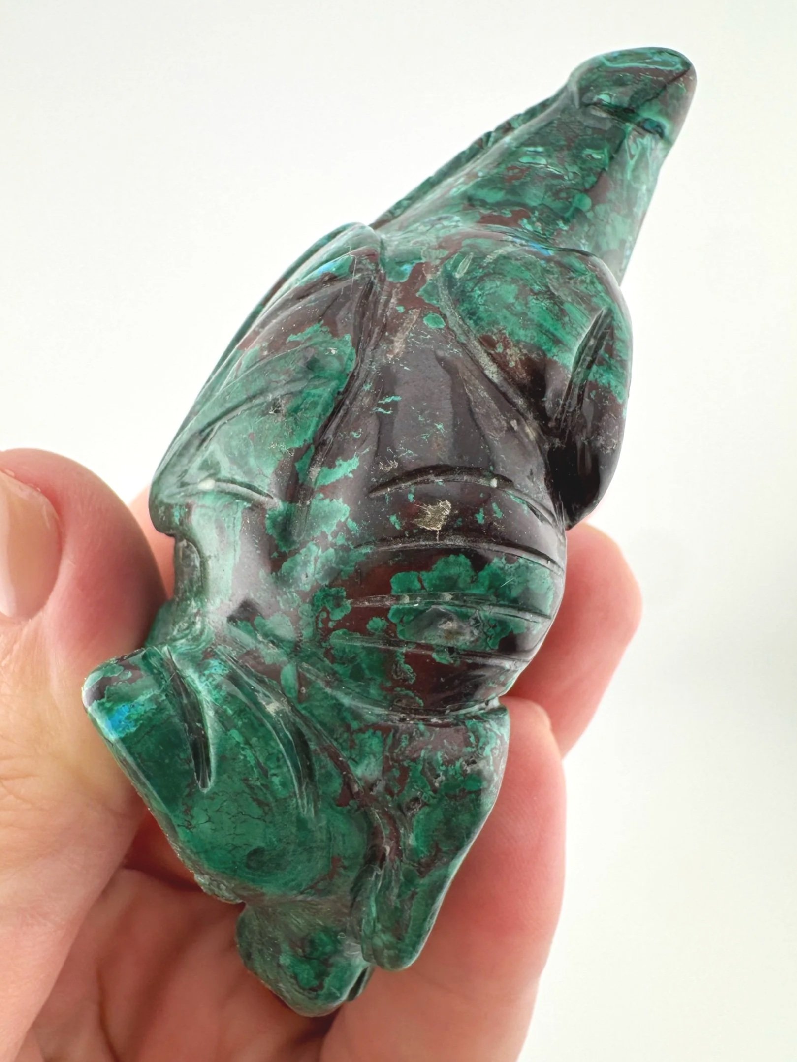 Leandro de Souza Malachite Chrysocolla Dodo Dragon