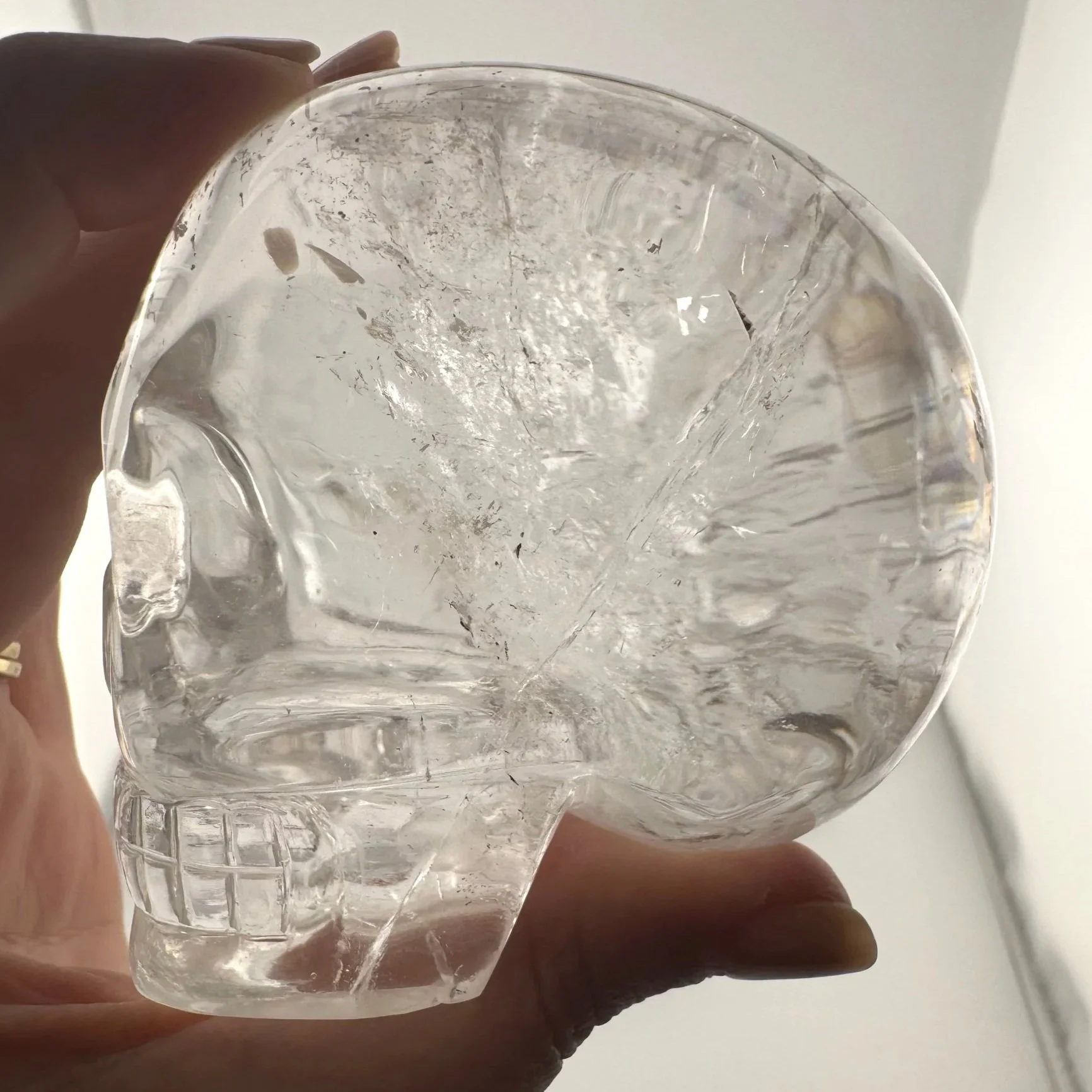 Leandro de Souza Rutile in Quartz Skull