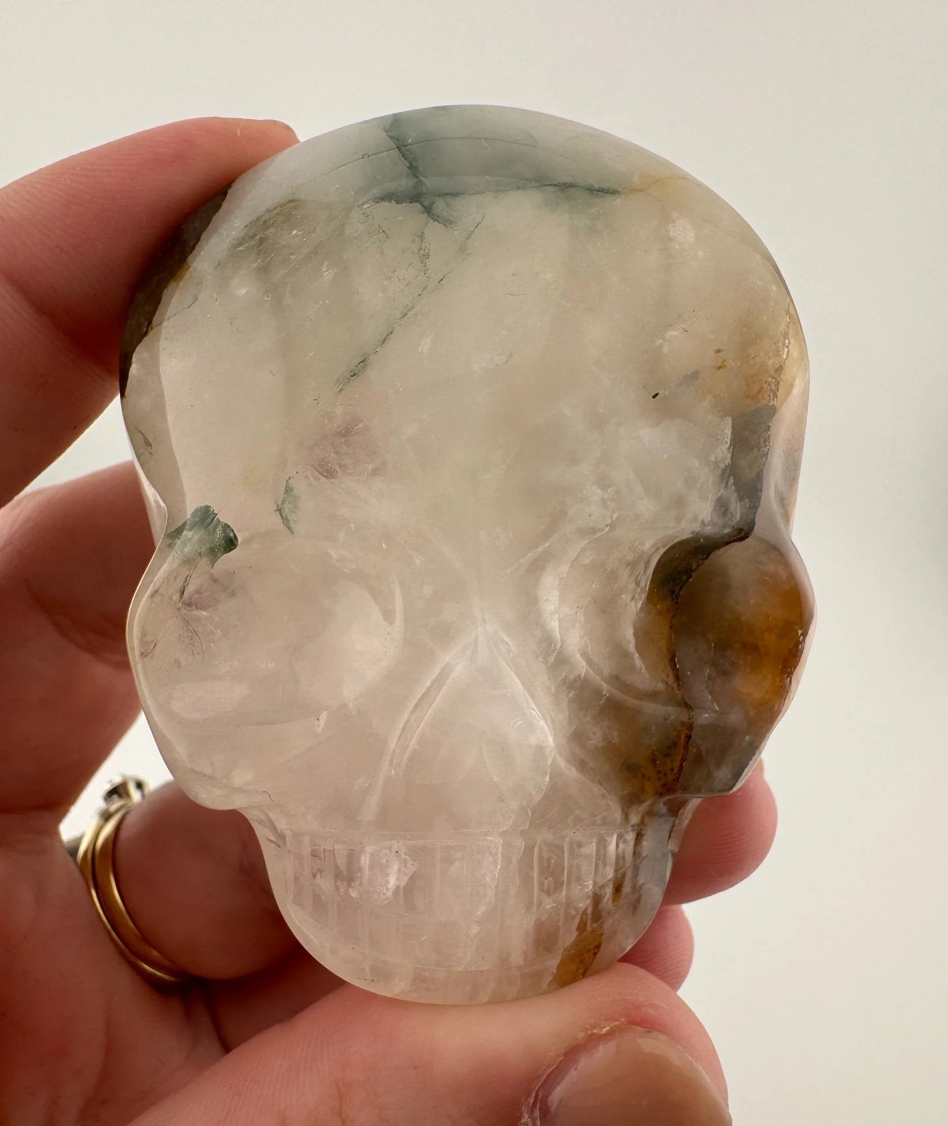 Leandro de Souza Golden Healer Palm Skull
