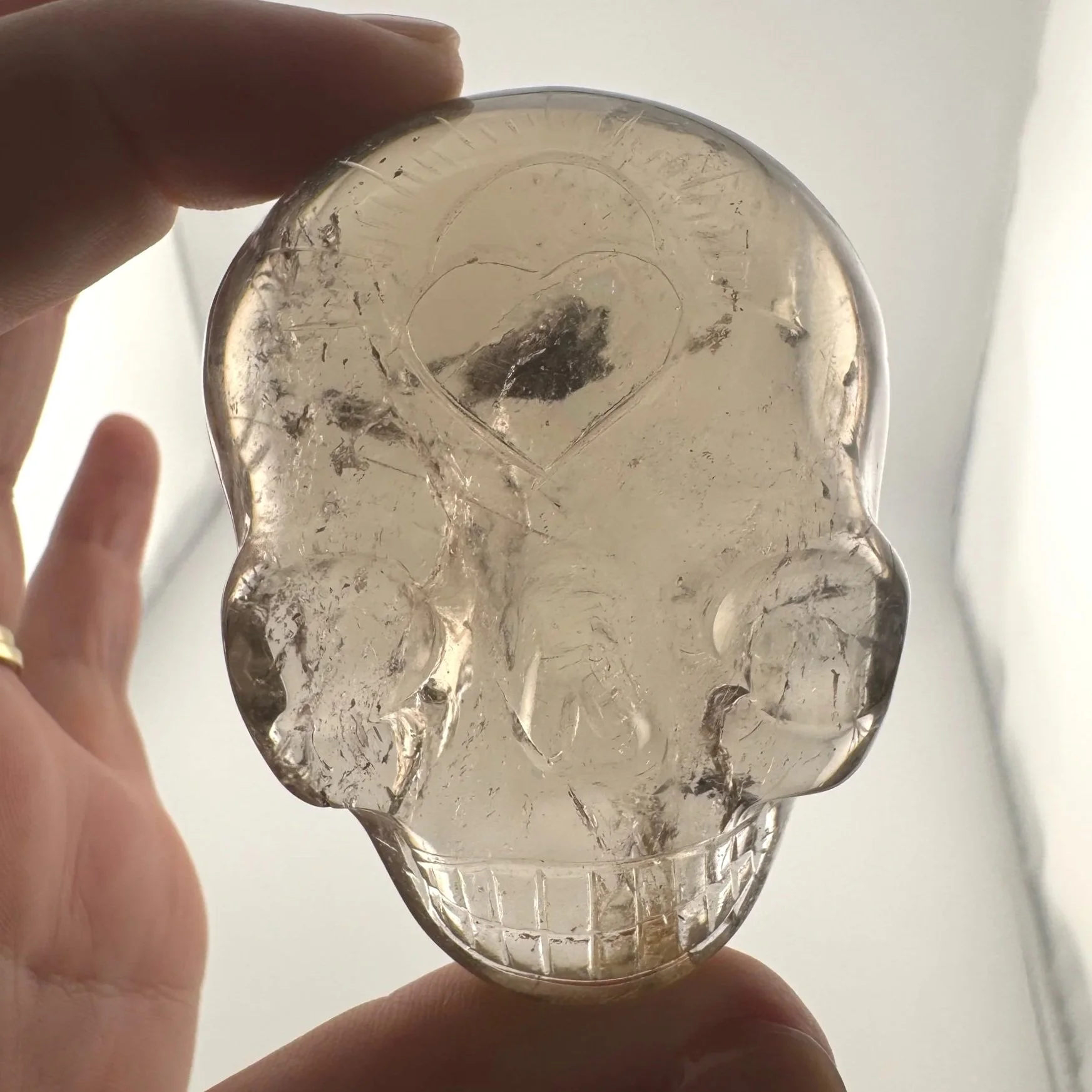 Leandro de Souza Golden Rutile in Quartz Magical Child Palm Skull