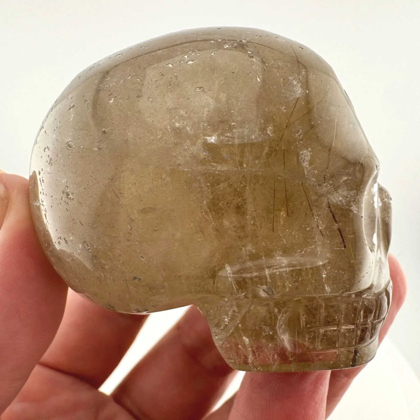 Leandro de Souza Golden Rutile in Smoky Quartz Skull
