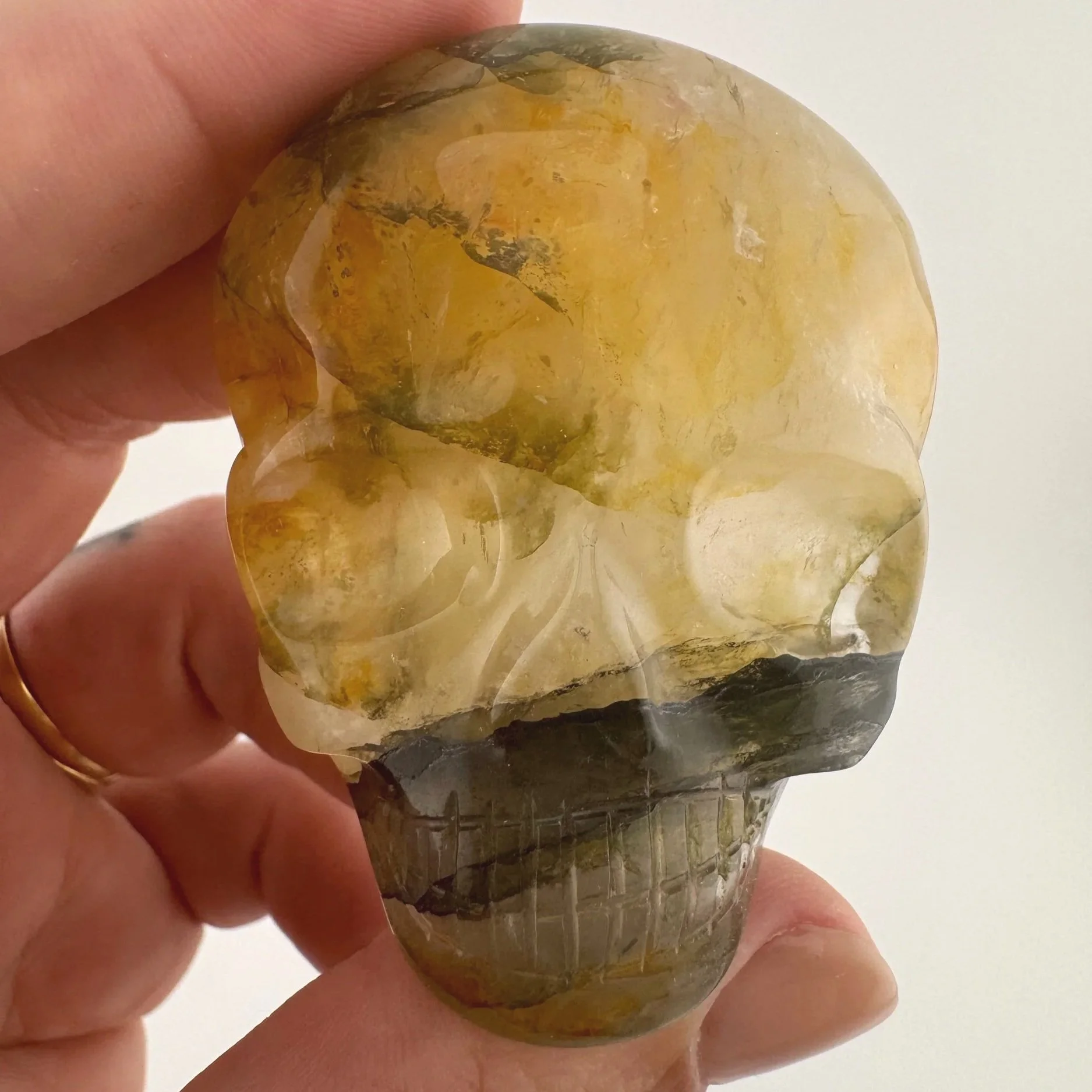 Leandro de Souza Golden Healer Palm Skull