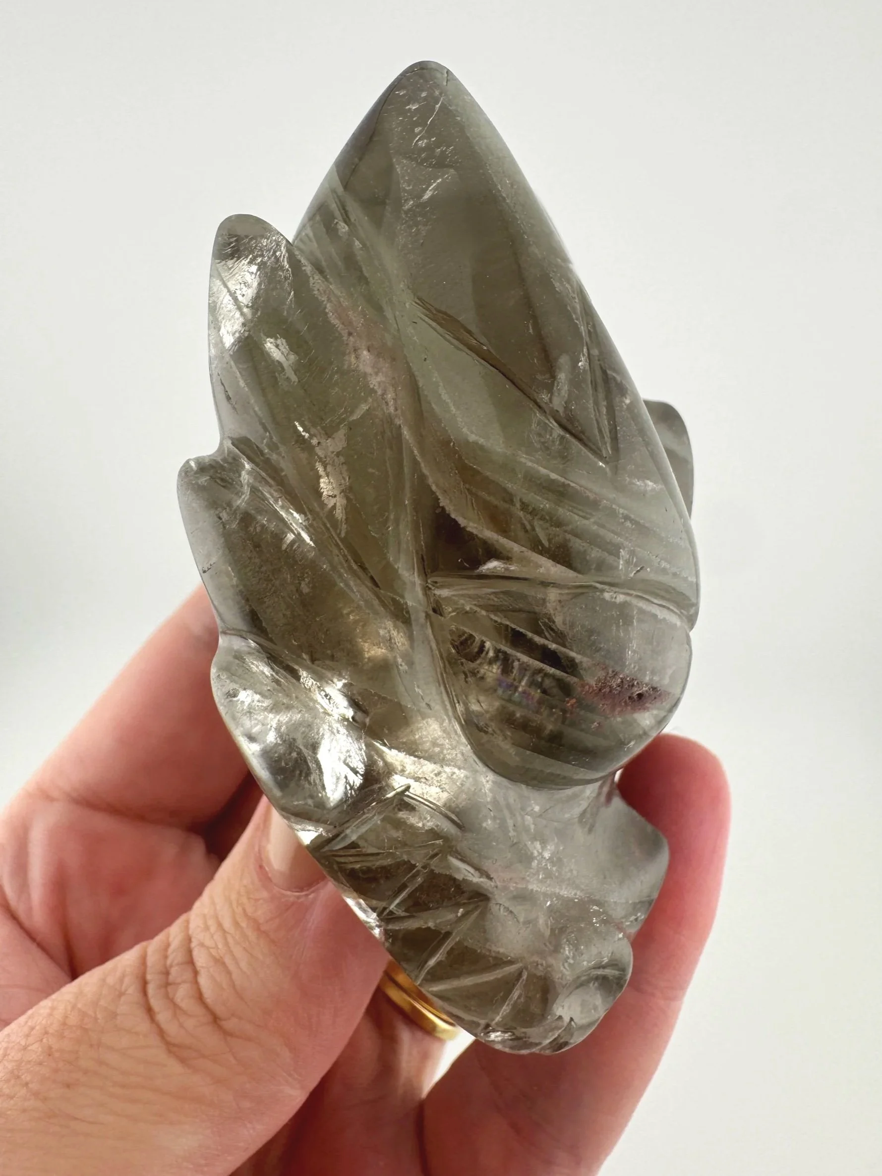 Leandro de Souza Chlorite Phantom Garden Quartz Dragon Skull