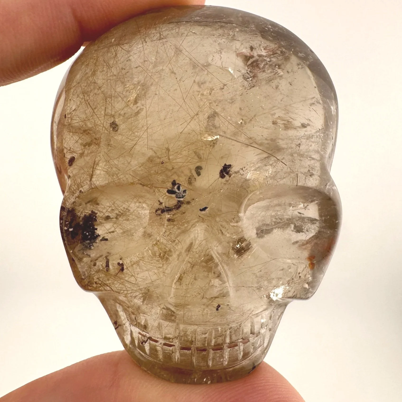 Leandro de Souza Smoky Garden Rutile Magical Child Palm Skull