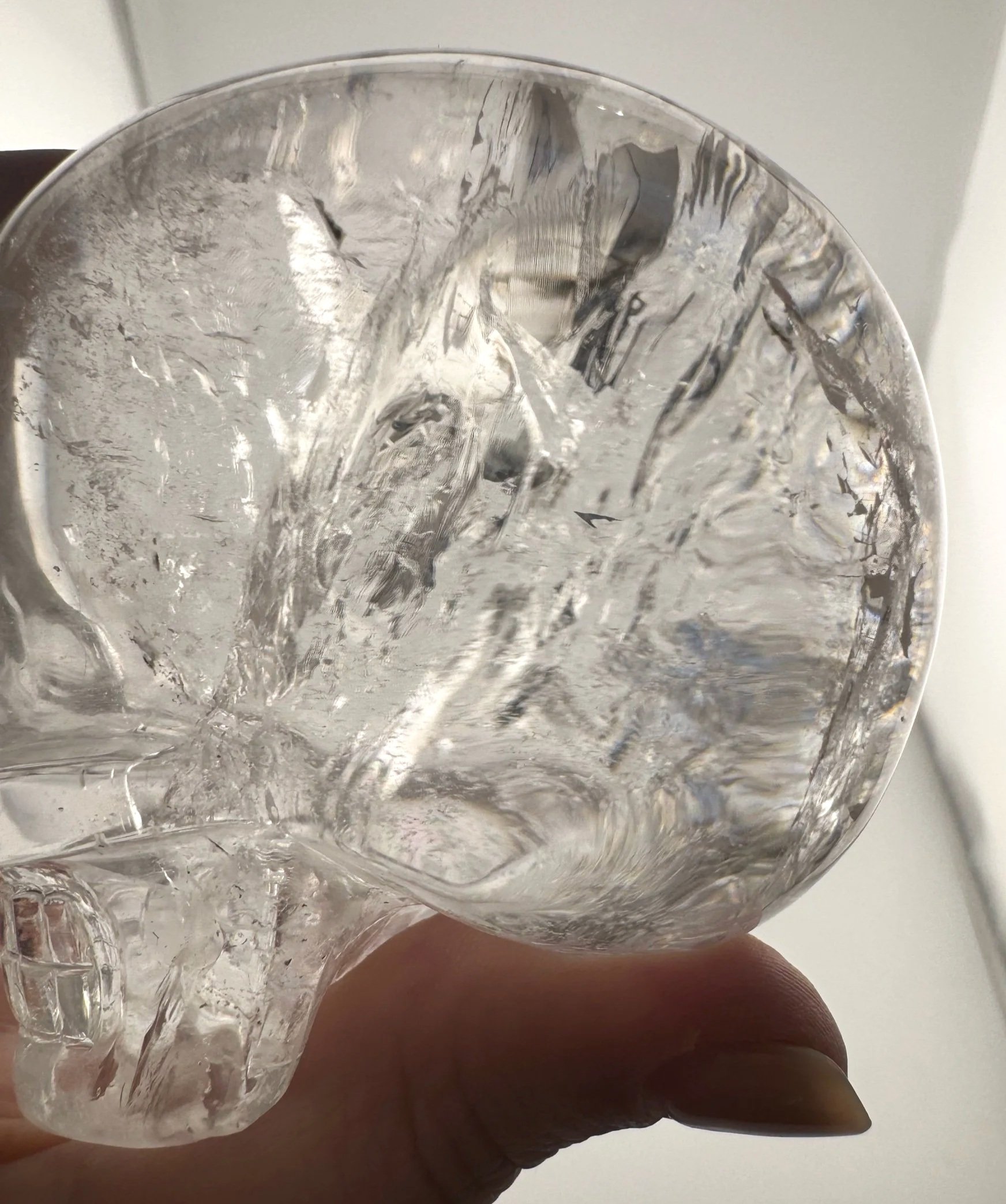 Leandro de Souza Rutile in Quartz Skull