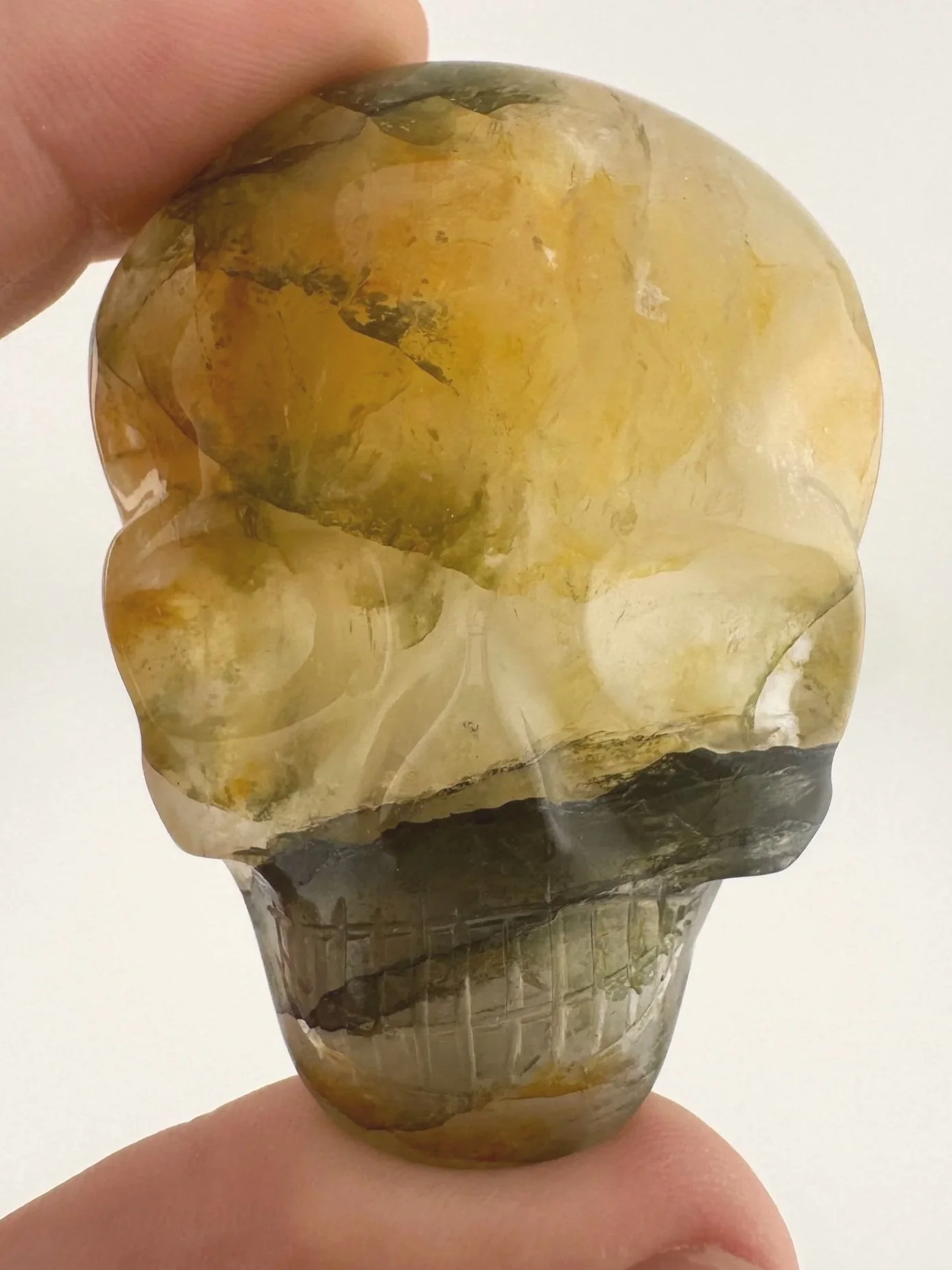 Leandro de Souza Golden Healer Palm Skull
