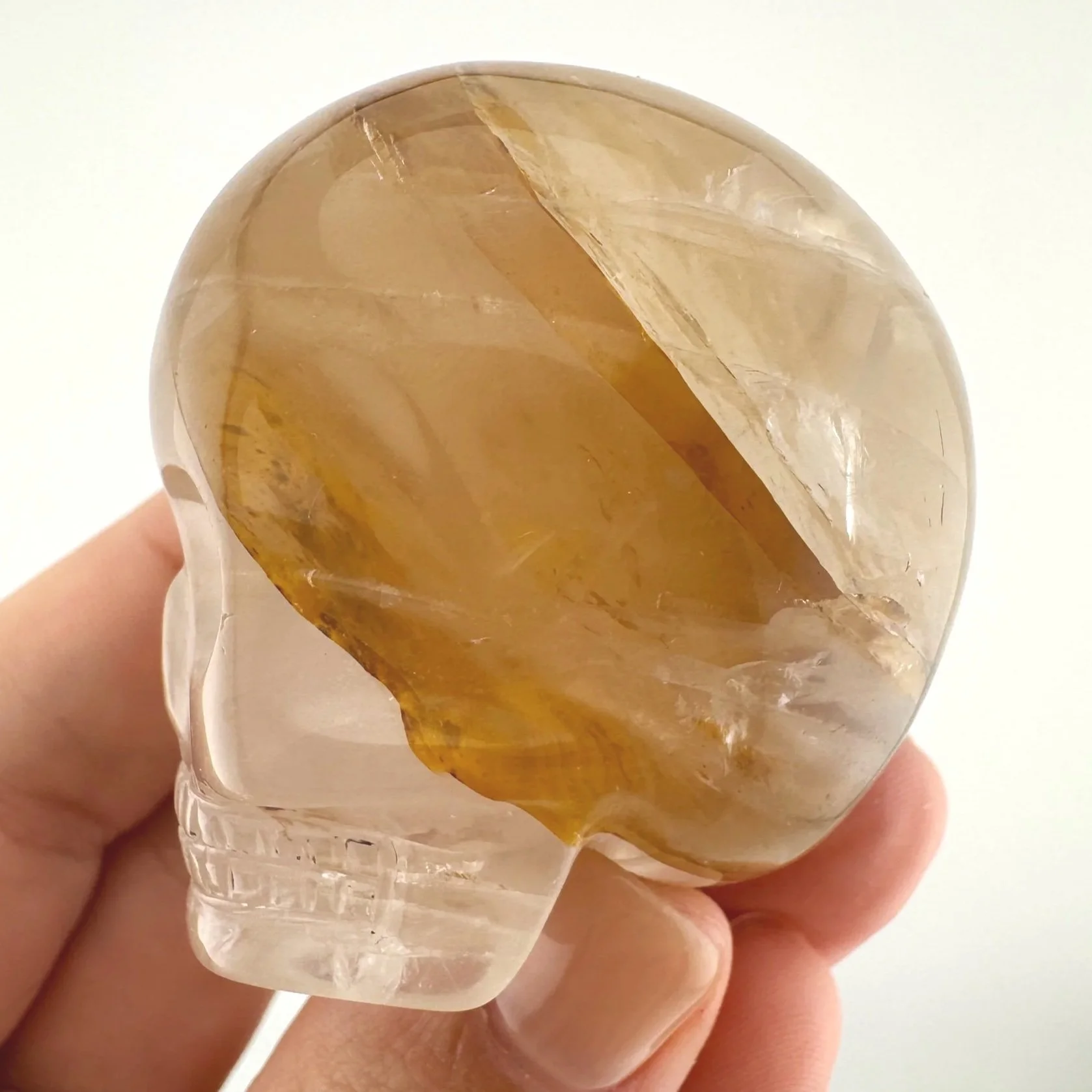 Leandro de Souza Golden Healer Magical Child Skull