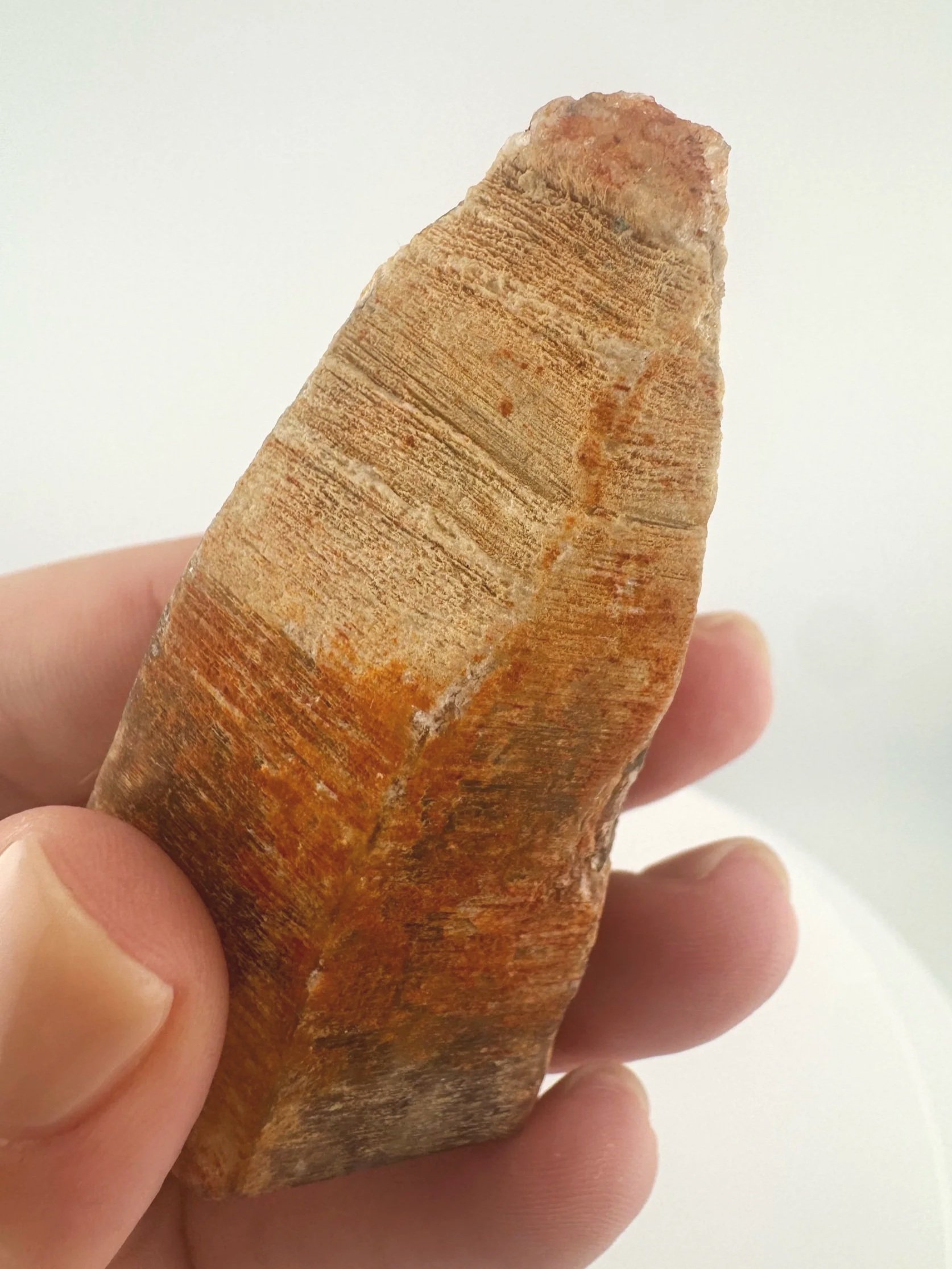 Igor de Souza Morion Tangerine Quartz Shaman Skull