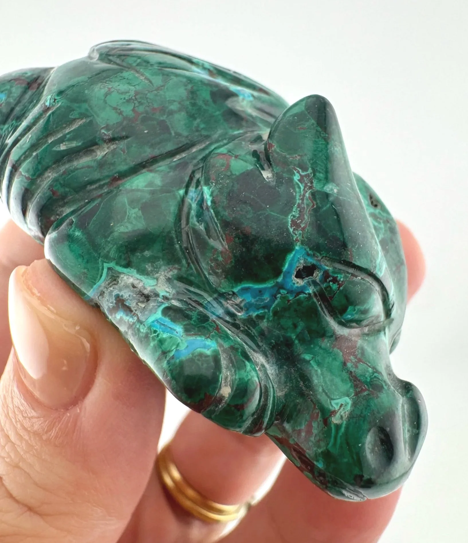 Leandro de Souza Malachite Chrysocolla Dodo Dragon