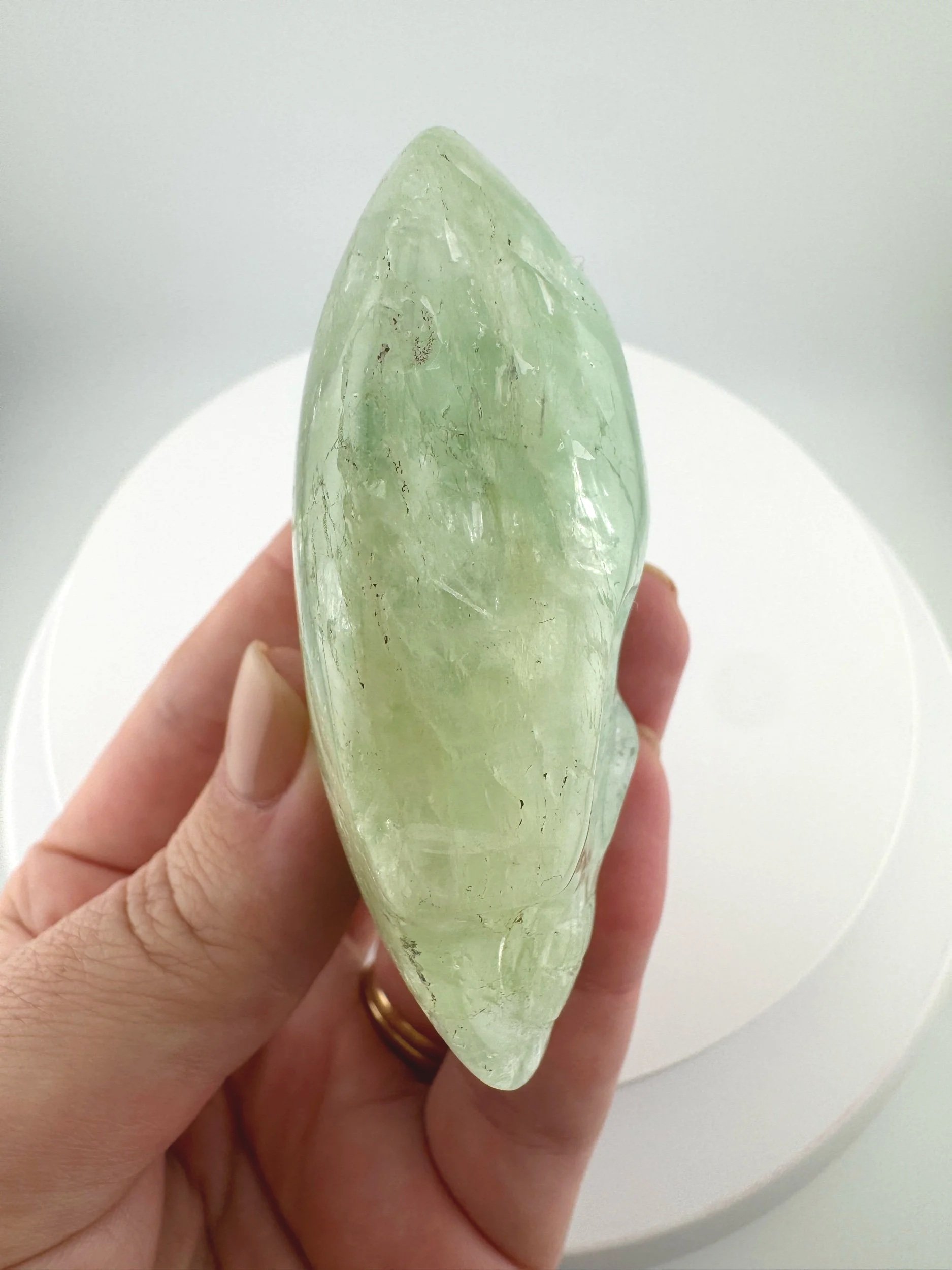 Leandro de Souza Aquamarine with Heliodor Magical Child Palm Skull