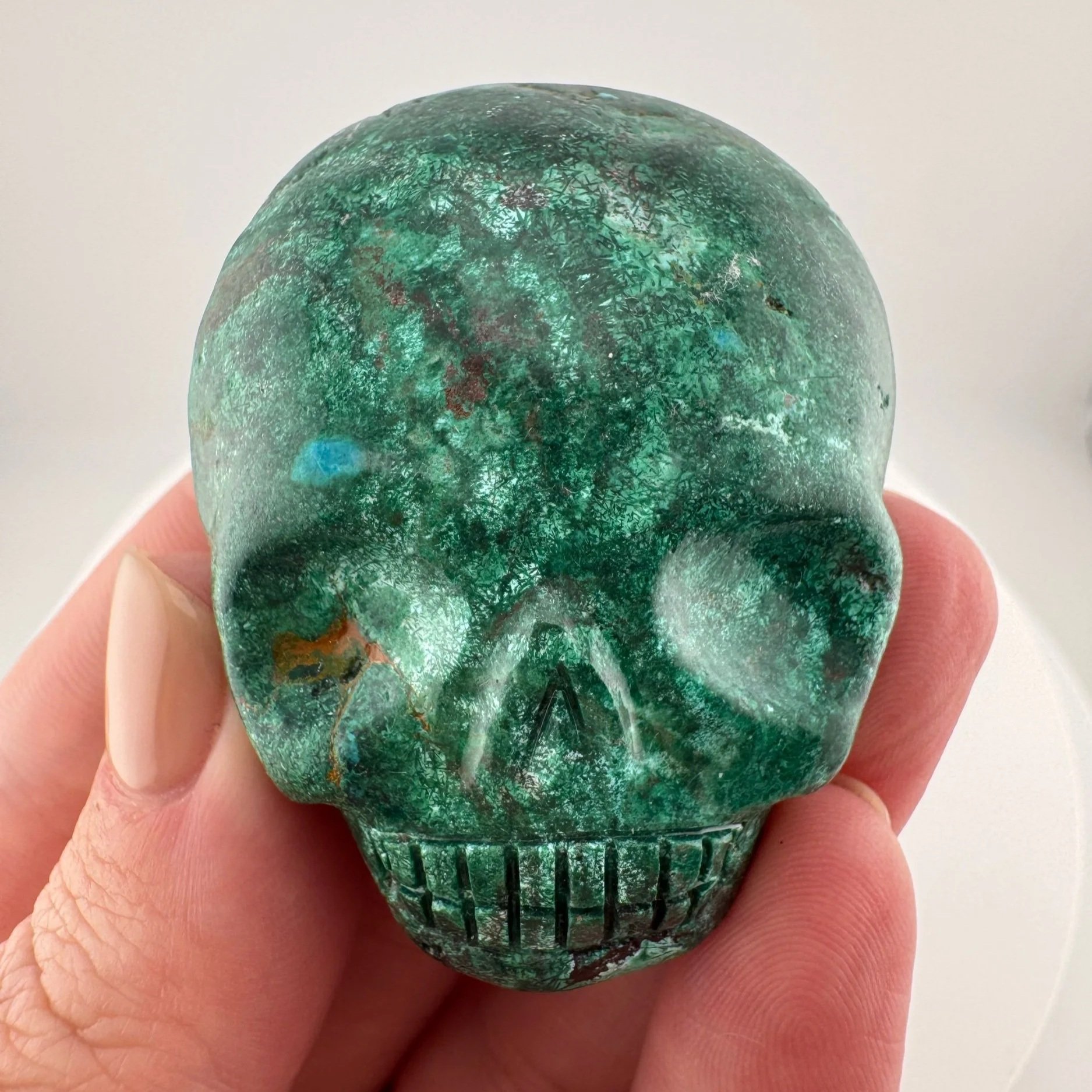 Leandro de Souza Malacholla Magical Child Palm Skull
