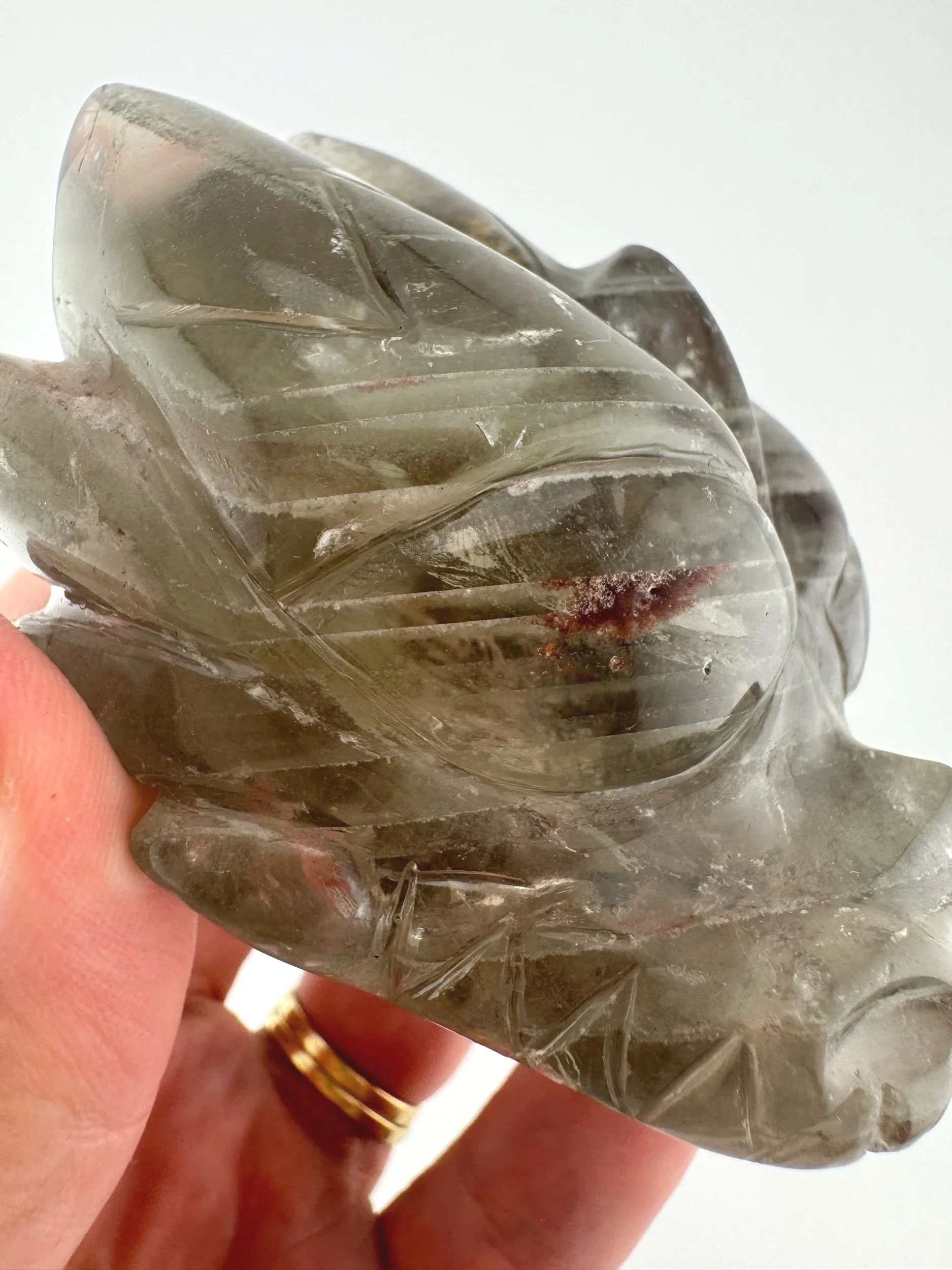 Leandro de Souza Chlorite Phantom Garden Quartz Dragon Skull